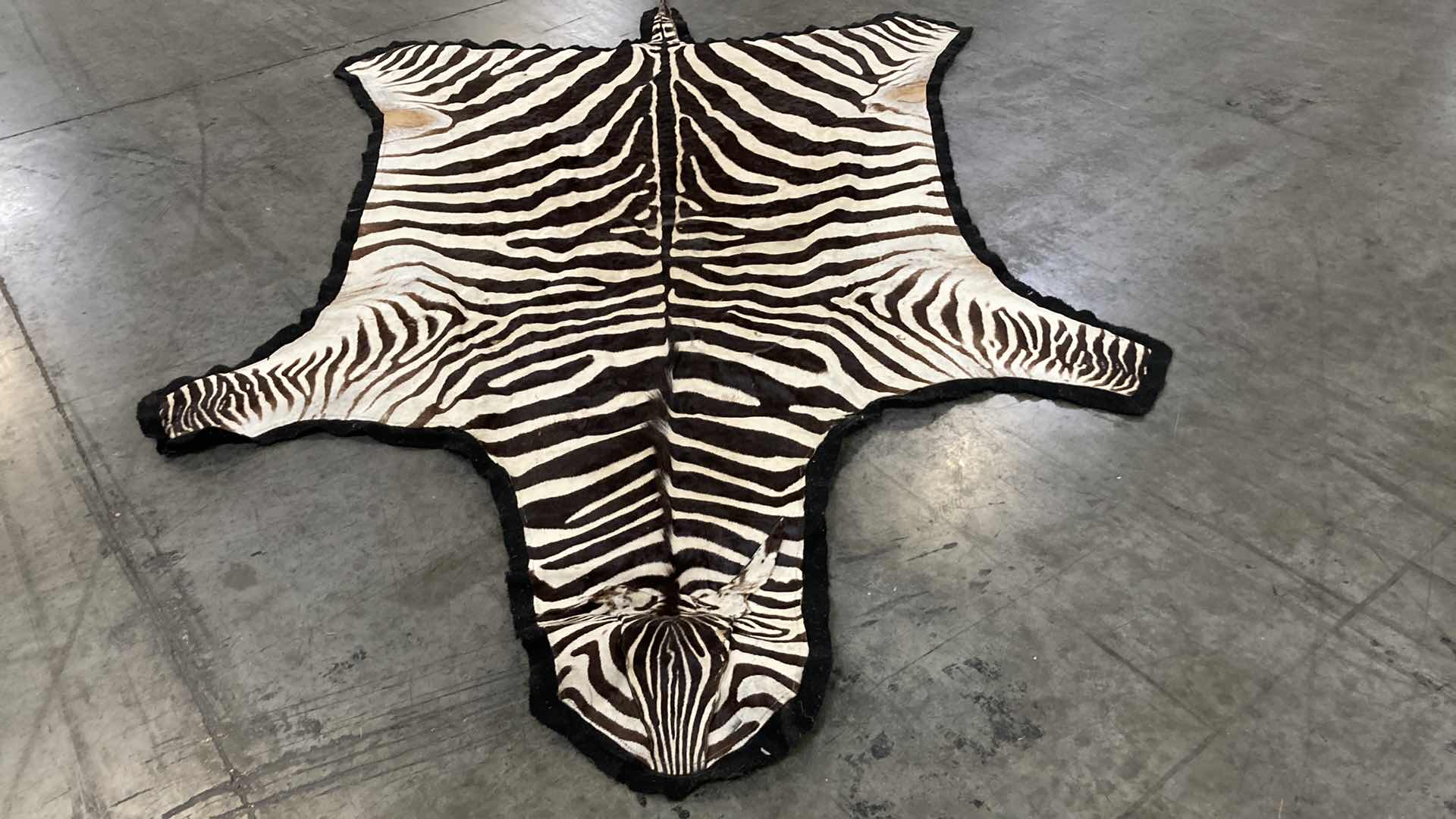 Photo 1 of ZEBRA PELT FULL BODY 110”