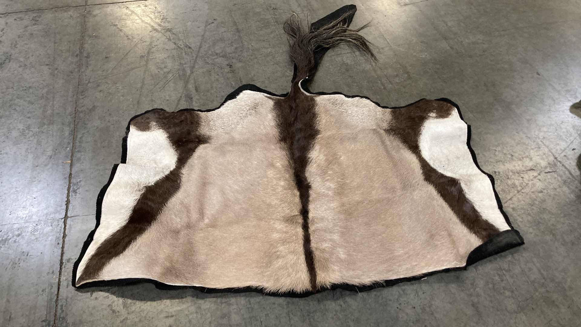 Photo 1 of COW PELT (3) 72”