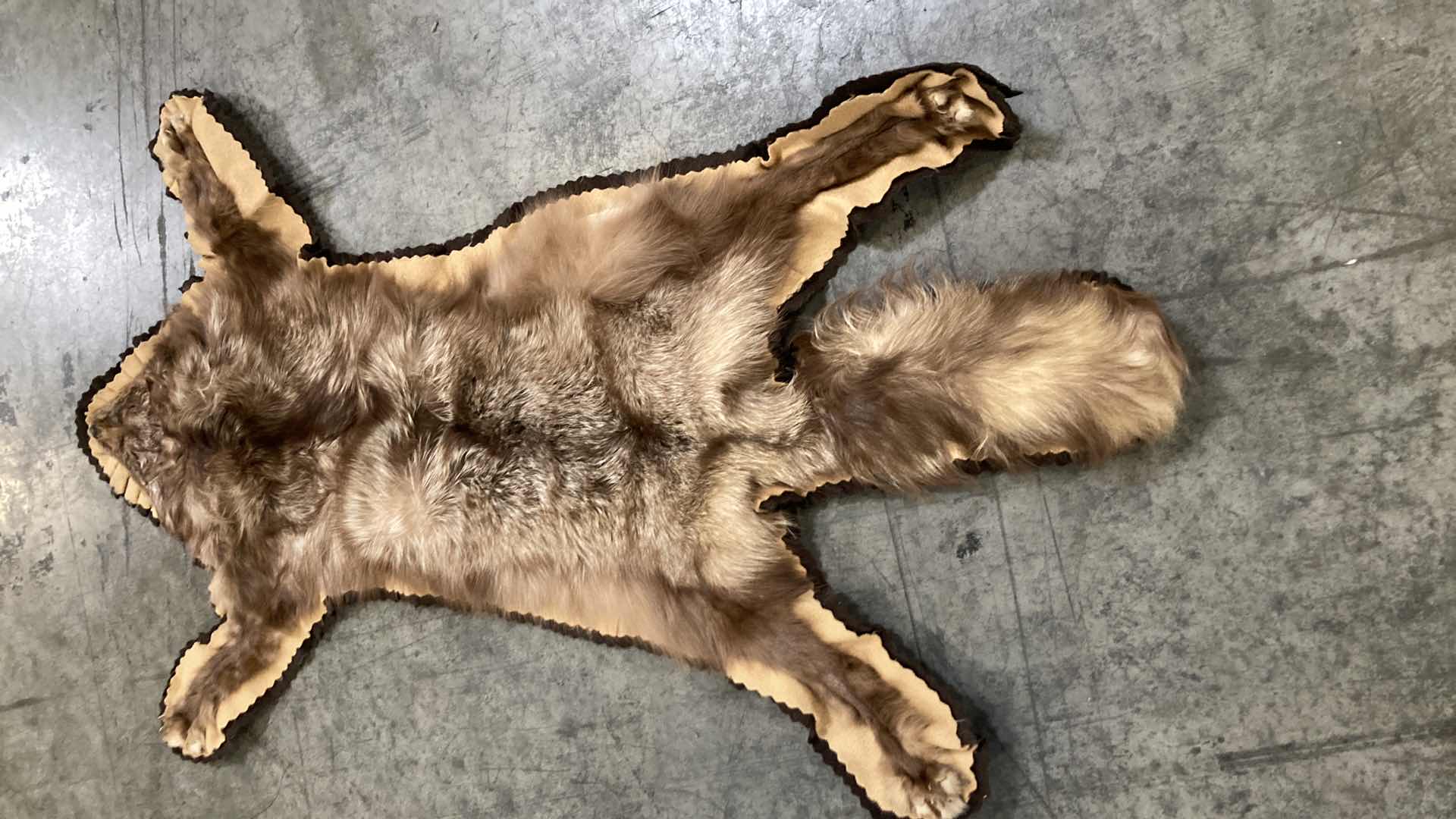 Photo 1 of FOX PELT 46”
