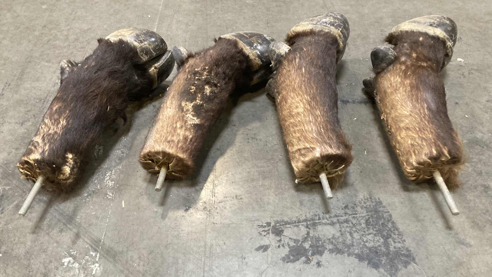 Photo 1 of COW HOOVES (4) 15”