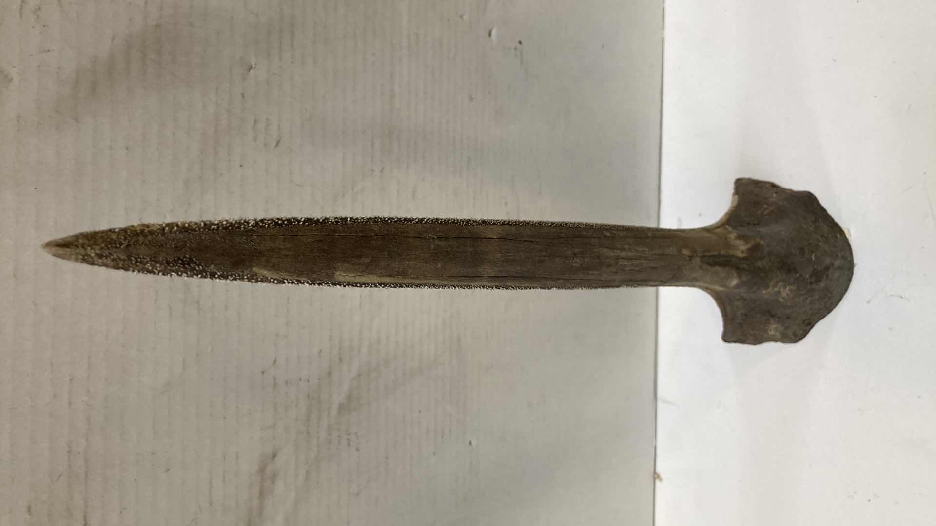 Photo 1 of SAIL FISH BILL H 27”