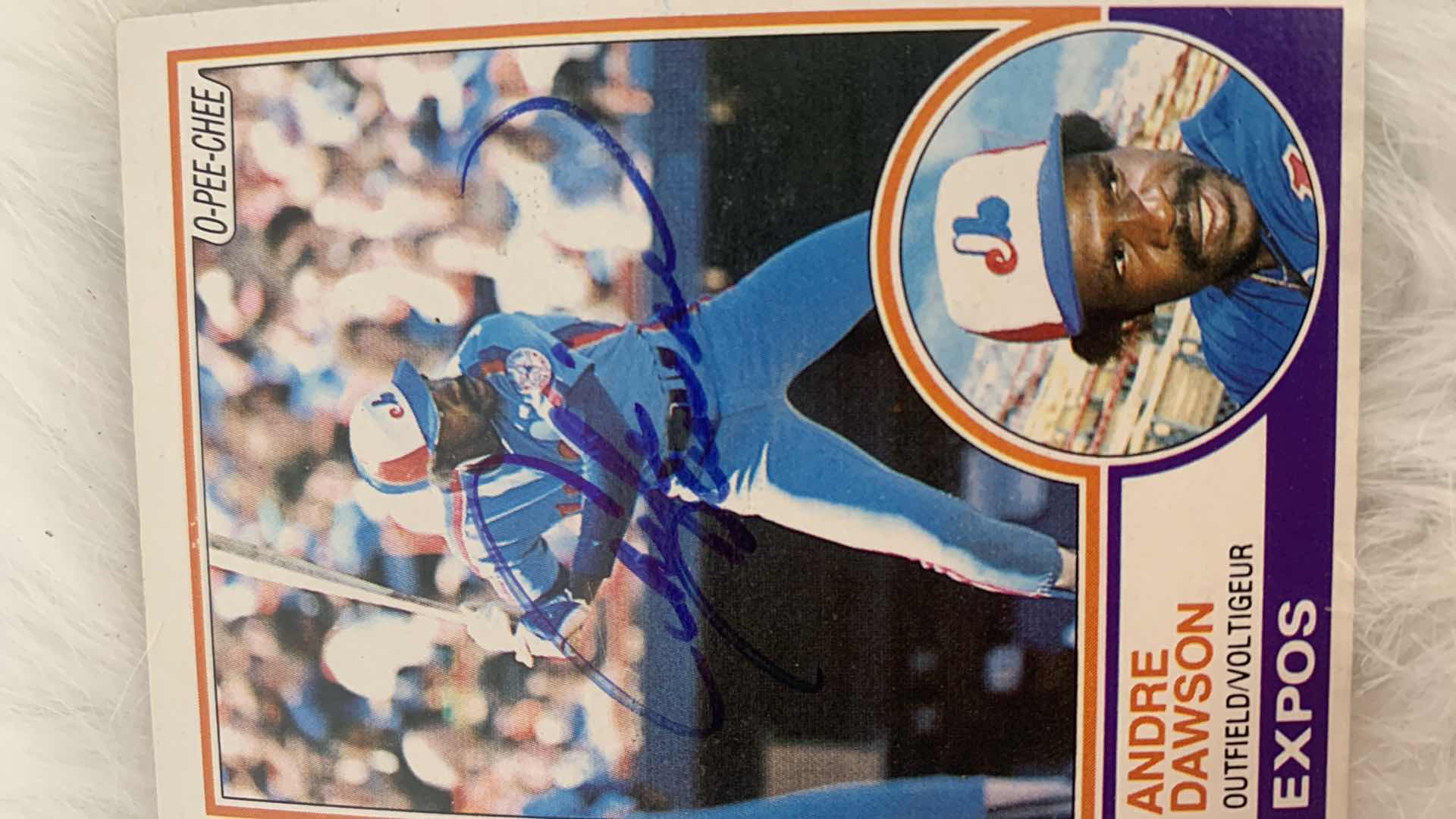 Photo 1 of COLLECTIBLE SIGNED ANDRE DAWSON BASEBALL CARD