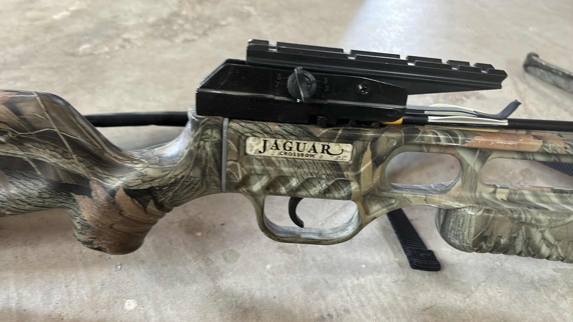 Photo 1 of JAGUAR CROSS BOW