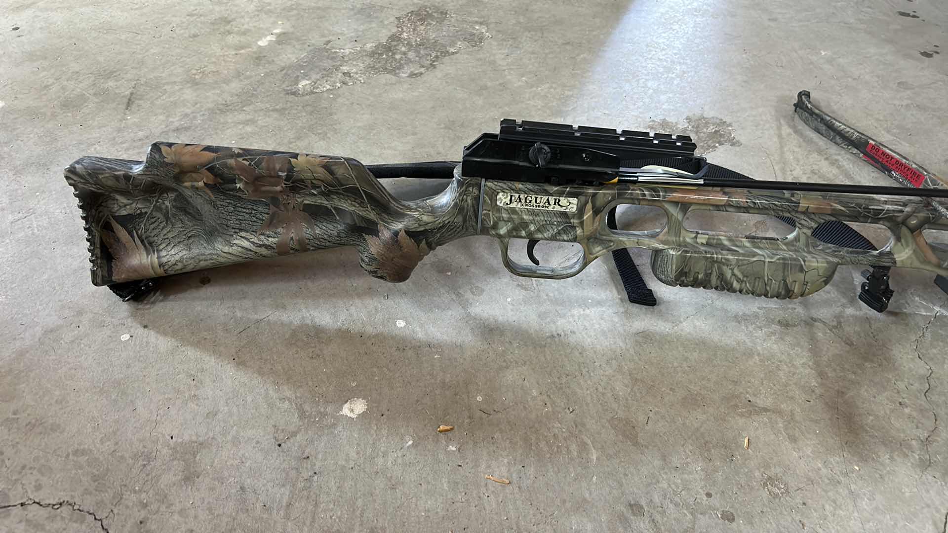 Photo 1 of JAGUAR CROSS BOW