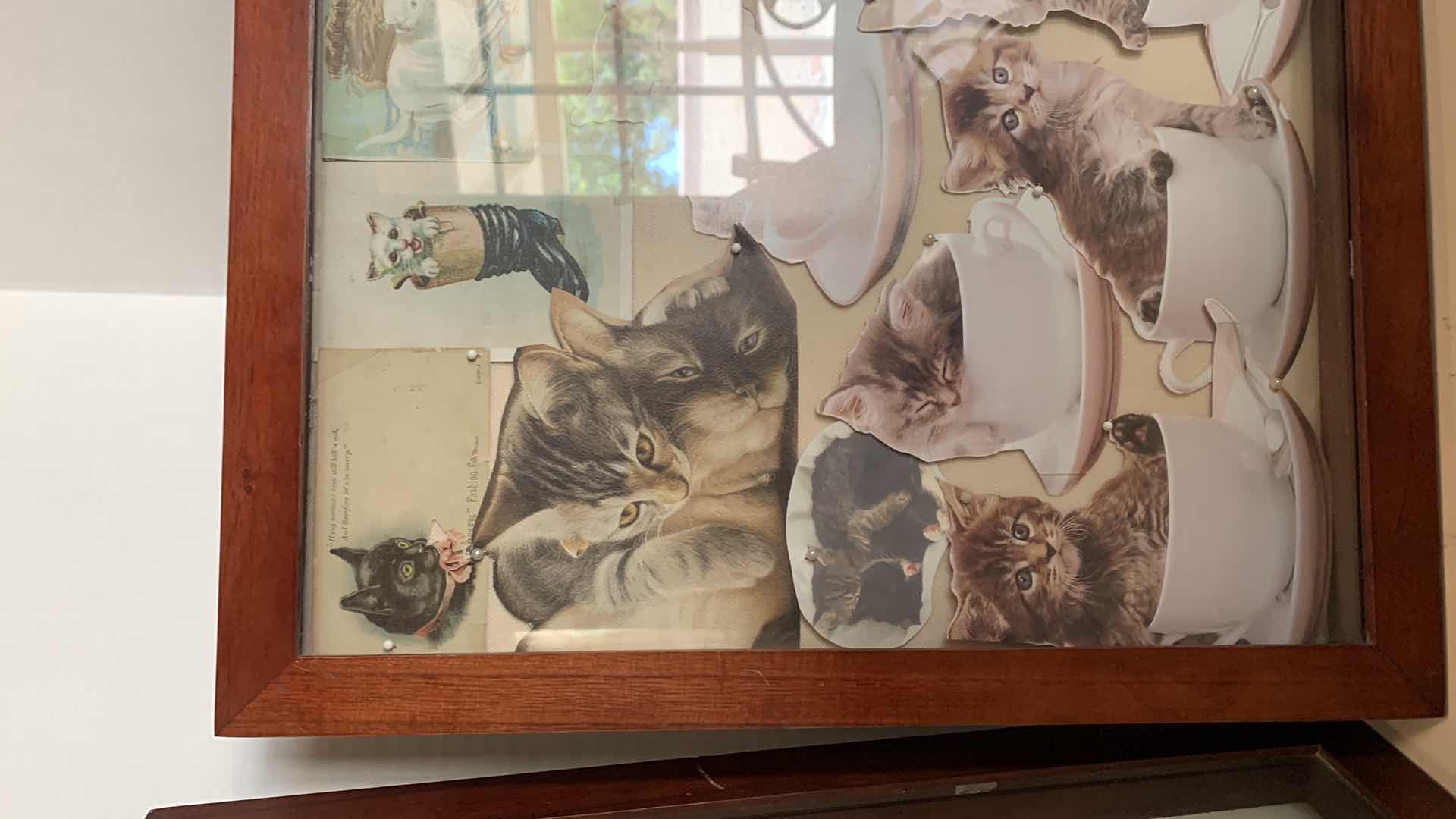 Photo 4 of CAT COLLAGES IN PICTURE FRAME 16” TALL