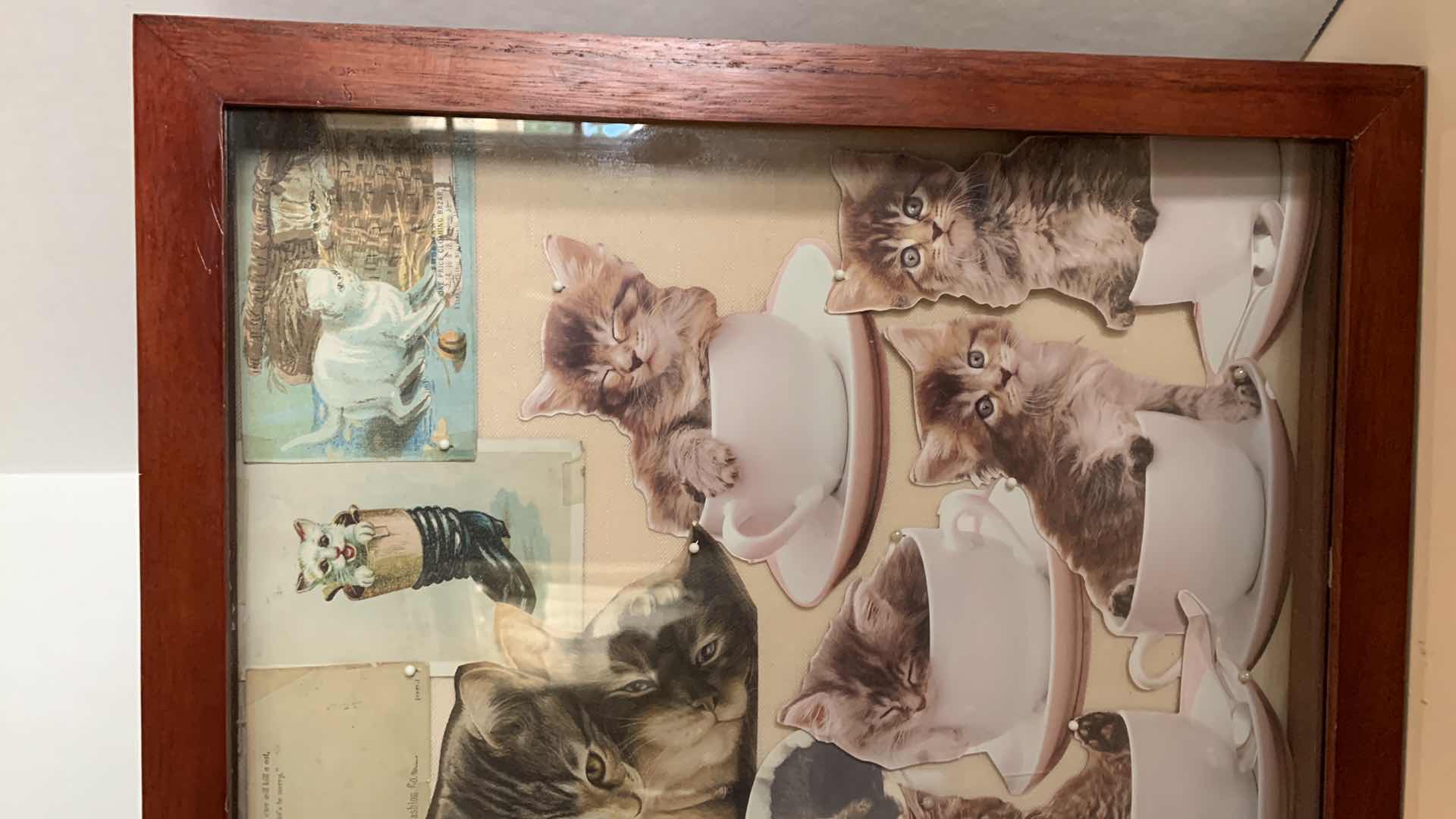 Photo 5 of CAT COLLAGES IN PICTURE FRAME 16” TALL