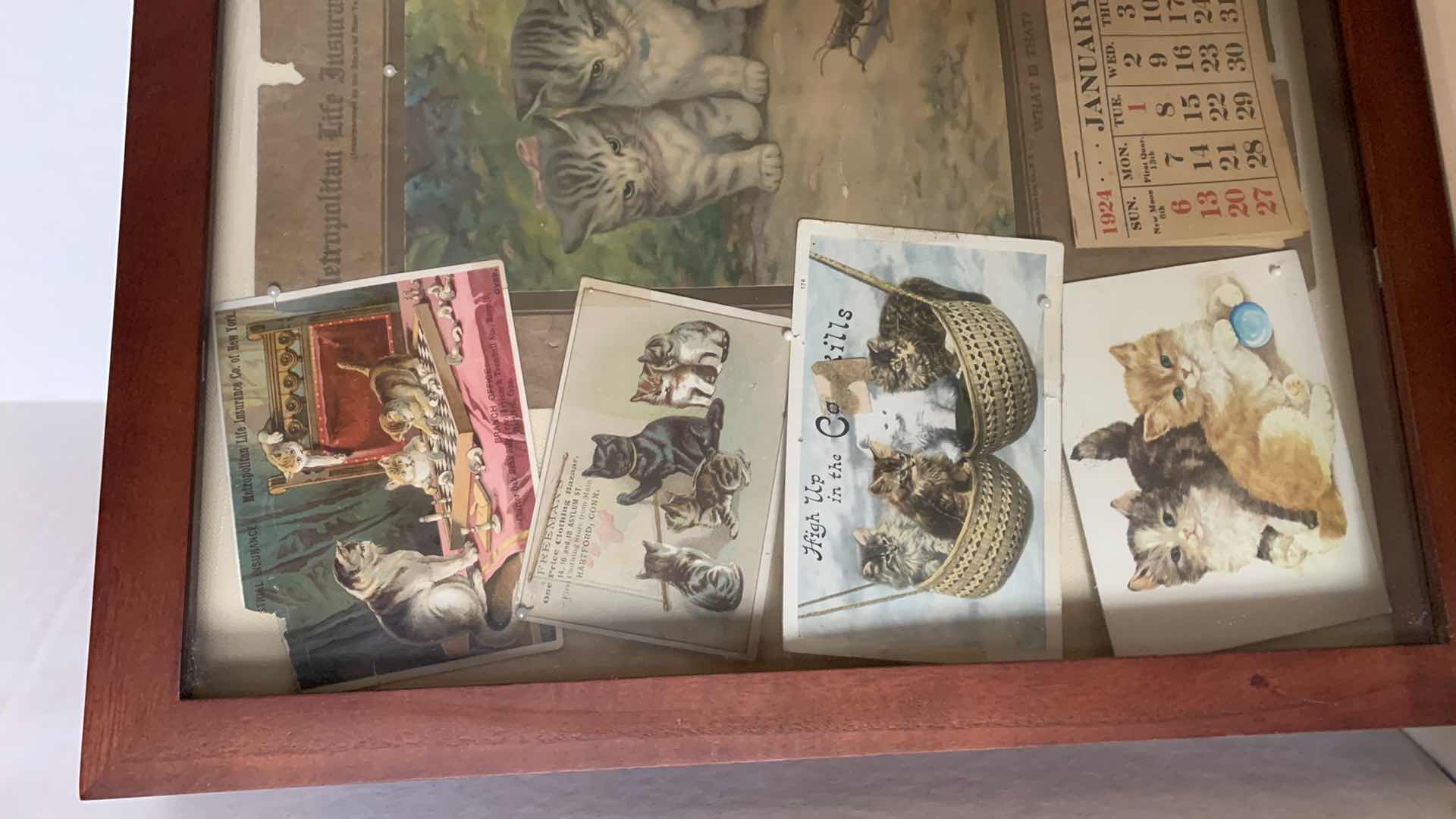 Photo 1 of CAT COLLAGES IN PICTURE FRAME 16” TALL