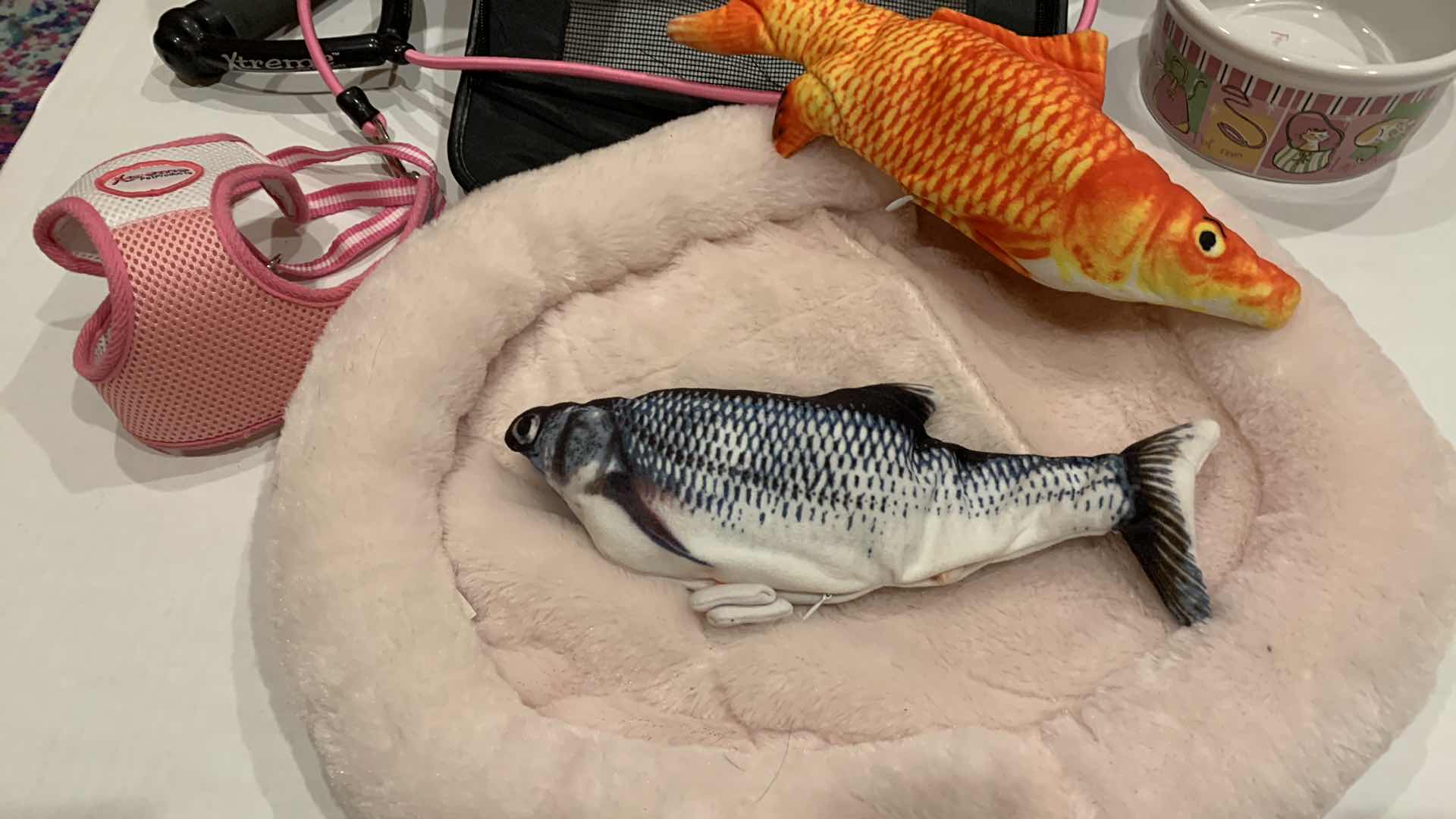 Photo 1 of ASSORTED ITEMS FOR CATS