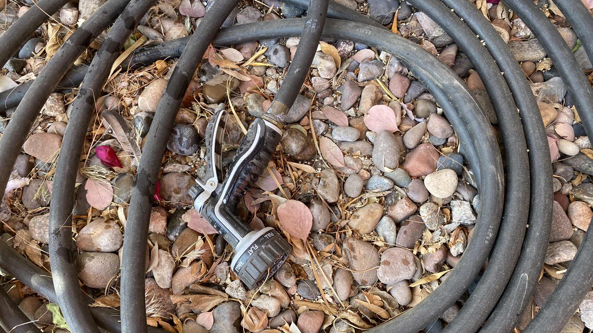 Photo 1 of HOSE FRONT SIDE OF HOUSE