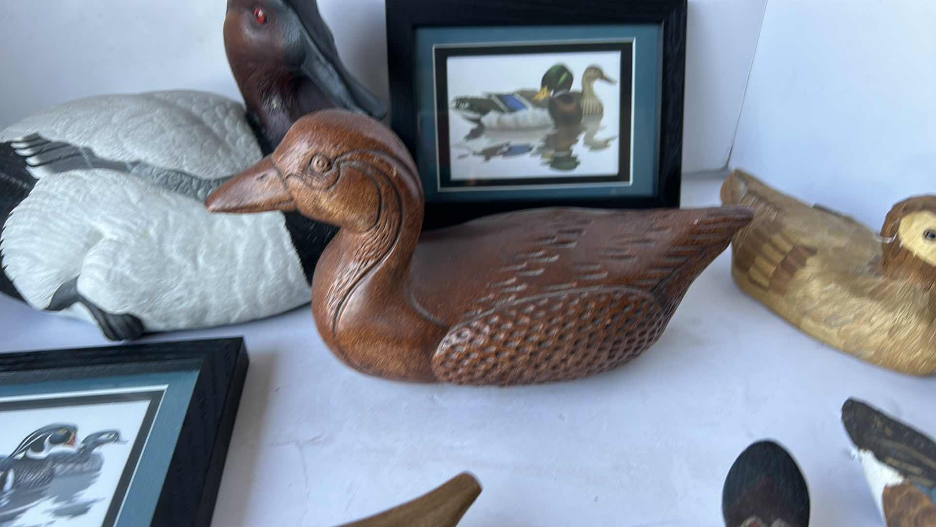 Photo 1 of DUCK HOME DECOR