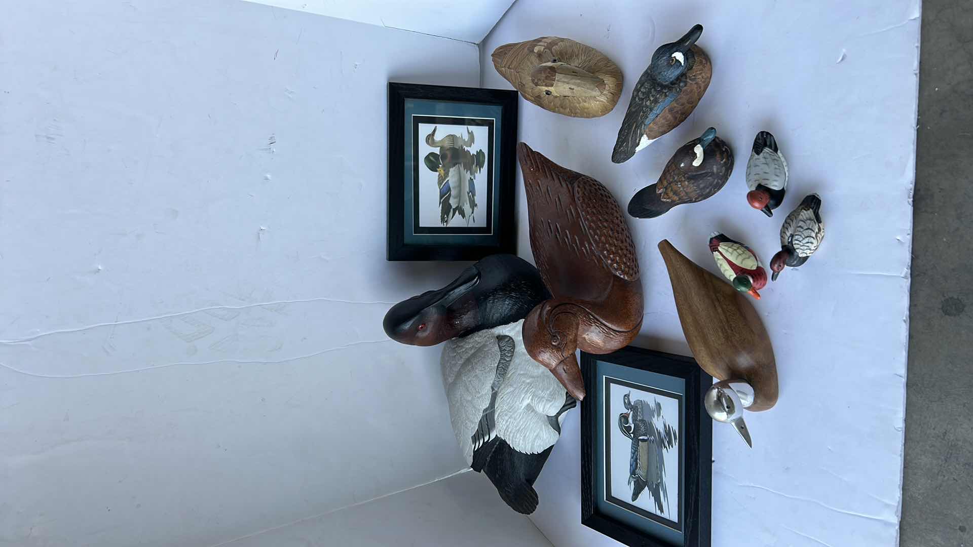 Photo 1 of DUCK HOME DECOR