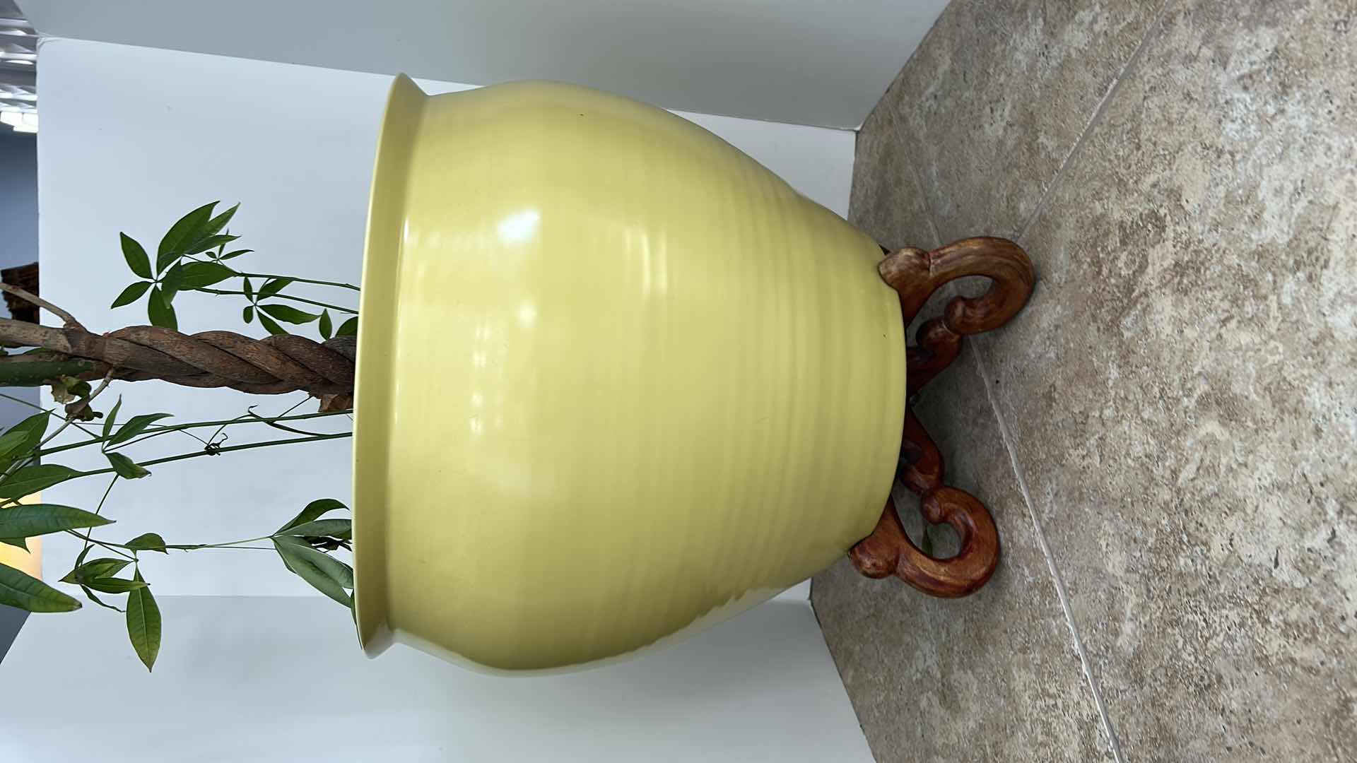 Photo 1 of LARGE YELLOW CERAMIC POTTERY W WOOD STAND AND LIVE MONEY TREE (POT IS 19” x 17”)