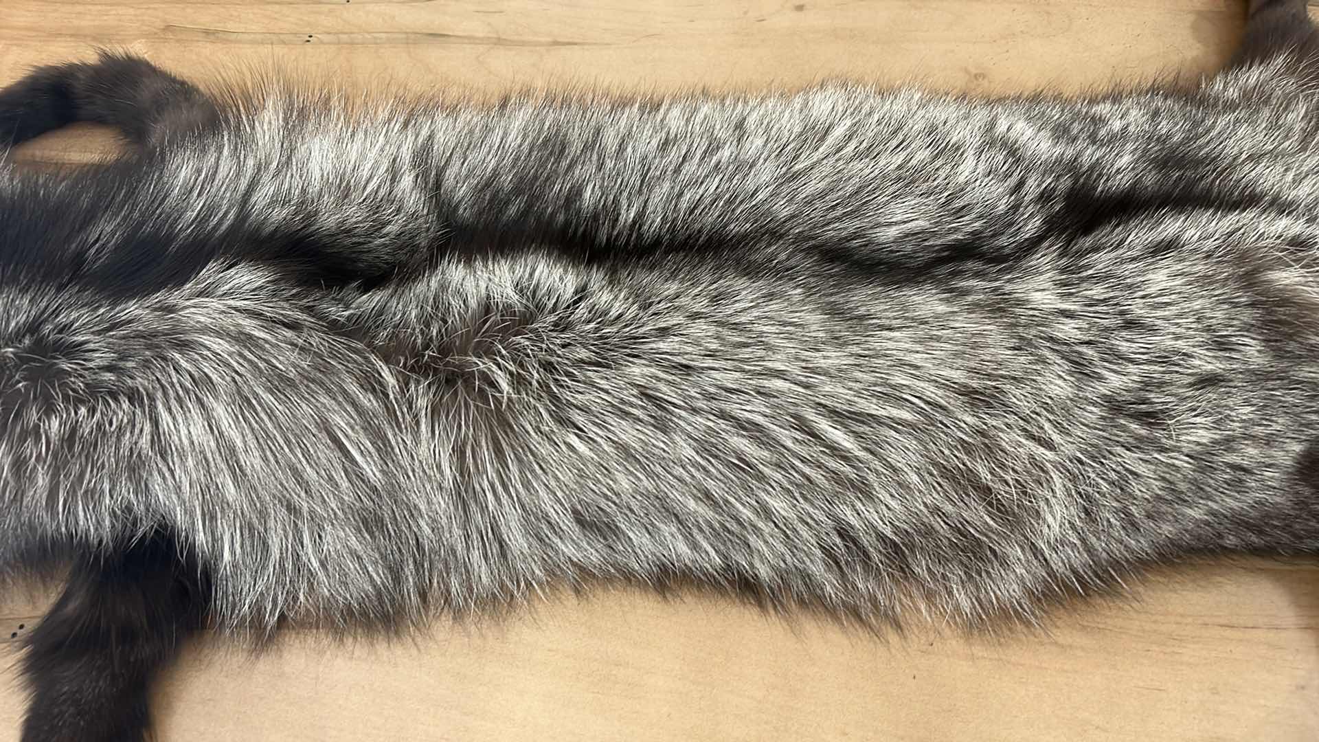 Photo 3 of GENUINE FOX