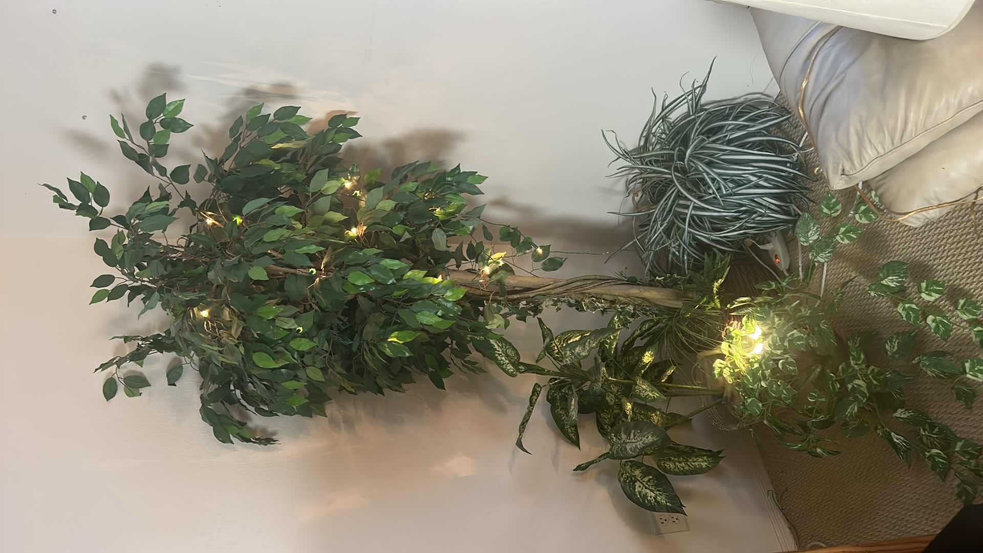 Photo 1 of FAUX PLANTS AND 6’ TREE, UPLIGHT AND TWINKLE LIGHTS