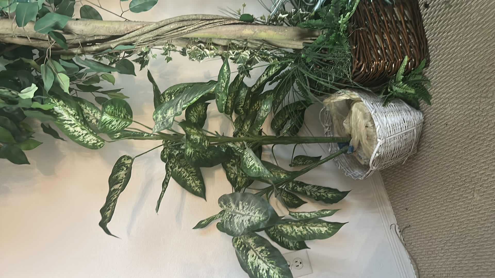 Photo 1 of FAUX PLANTS AND 6’ TREE, UPLIGHT AND TWINKLE LIGHTS