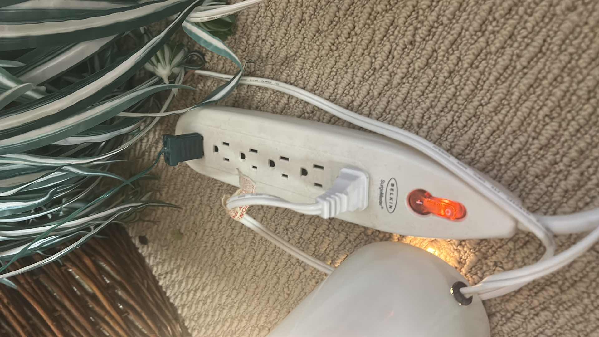 Photo 1 of FAUX PLANTS AND 6’ TREE, UPLIGHT AND TWINKLE LIGHTS