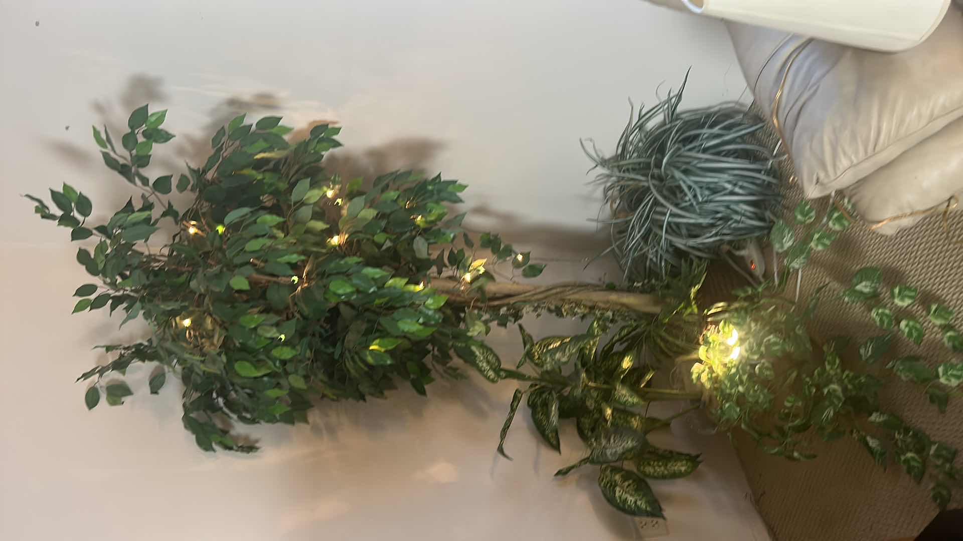 Photo 1 of FAUX PLANTS AND 6’ TREE, UPLIGHT AND TWINKLE LIGHTS