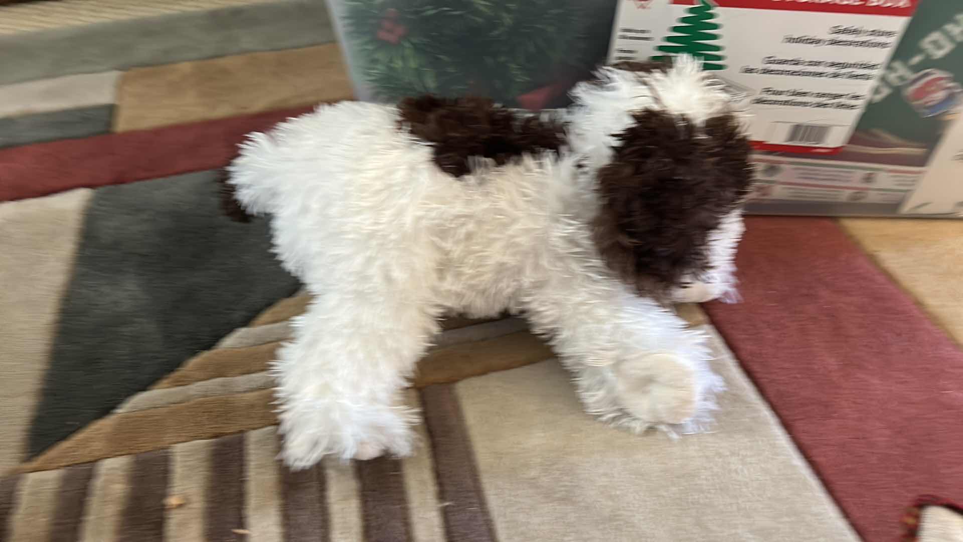 Photo 6 of CHRISTMAS ASSORTMENT