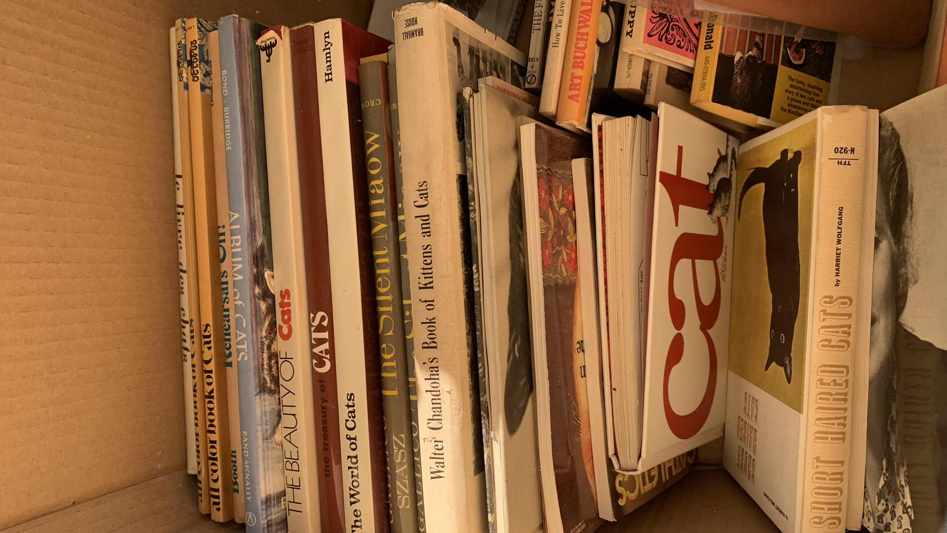 Photo 1 of CAT BOOKS