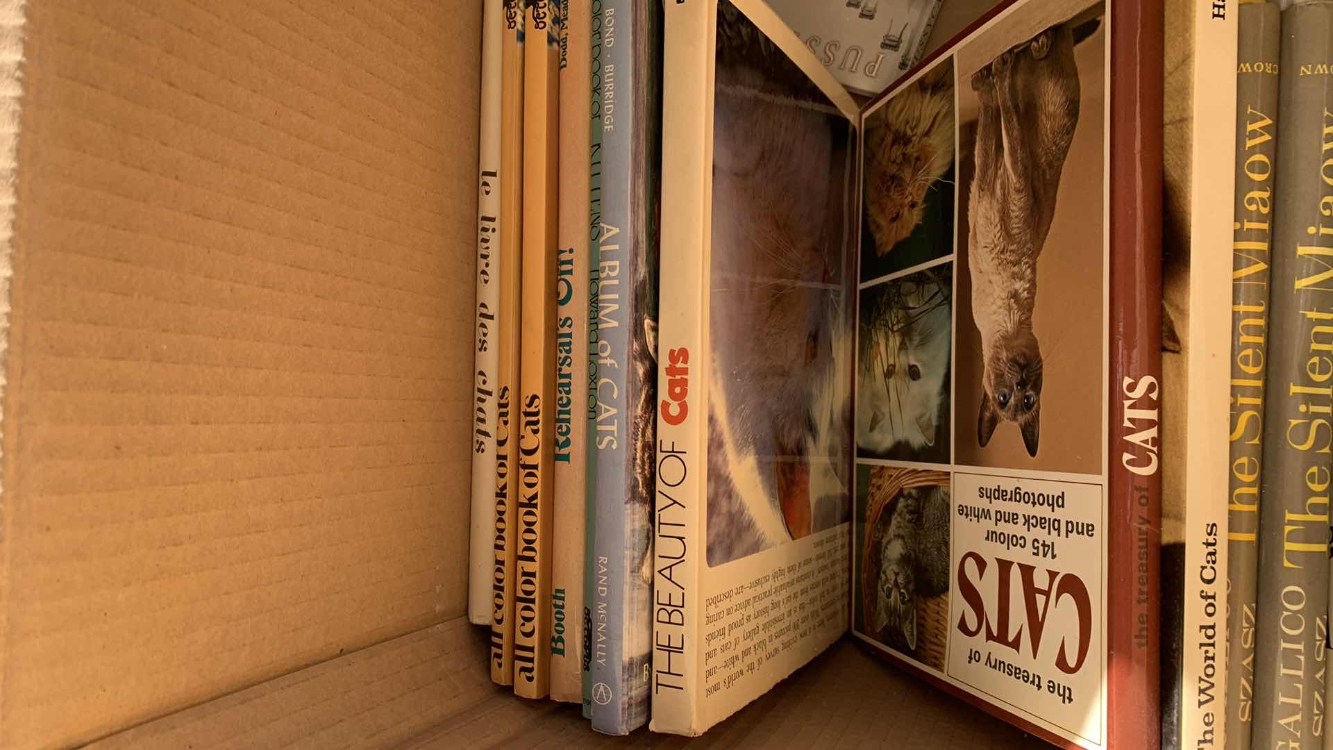 Photo 1 of CAT BOOKS