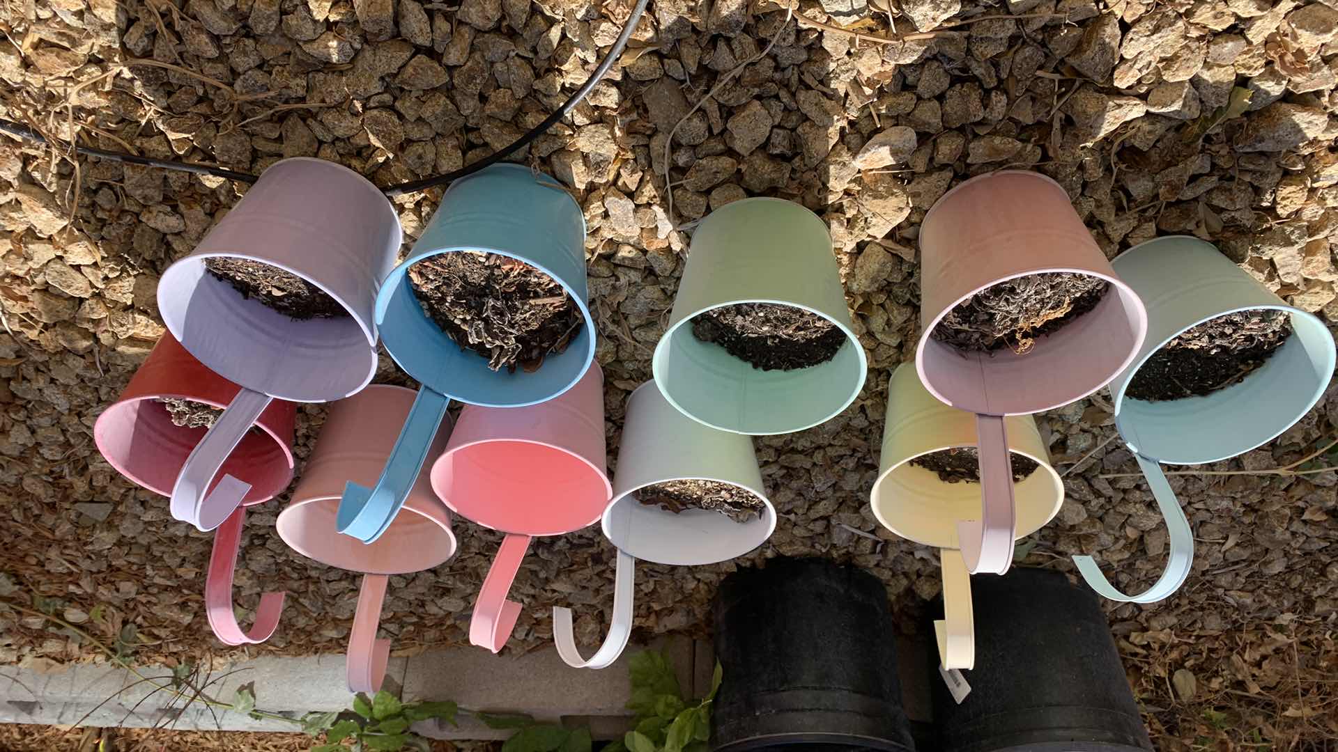 Photo 1 of 10-PLANTER POTS