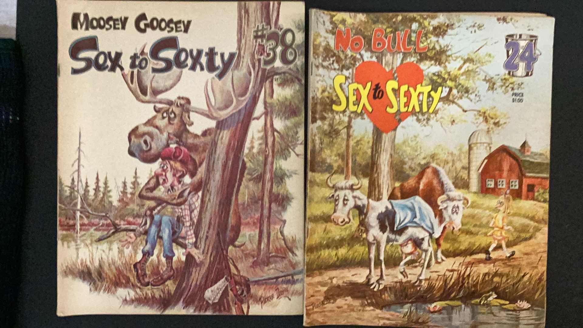 Photo 1 of 6 VINTAGE SEX TO SEXTY ADULT THEMED MAGAZINES