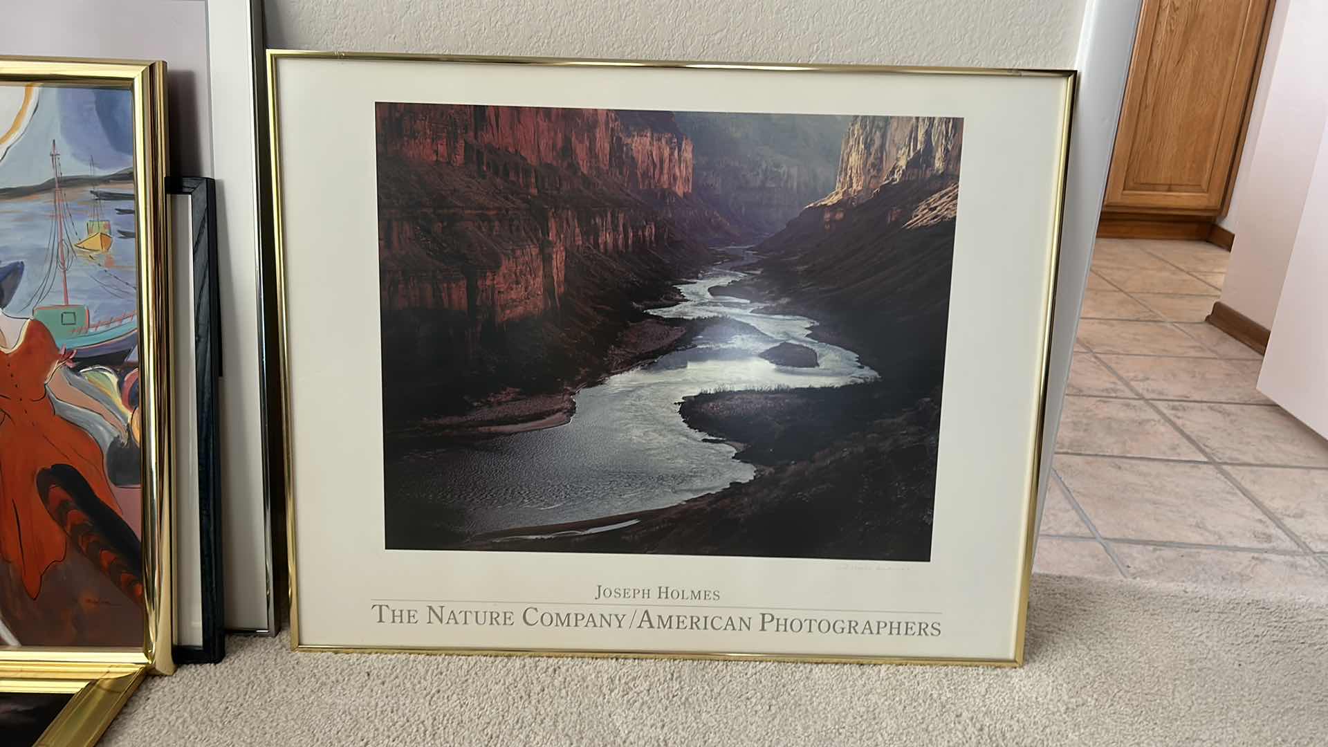Photo 1 of JOSEPH HOLMES THE NATURE COMPANY/ AMERICAN PHOTOGRAPHERS FRAMED ARTWORK 33 x 26”