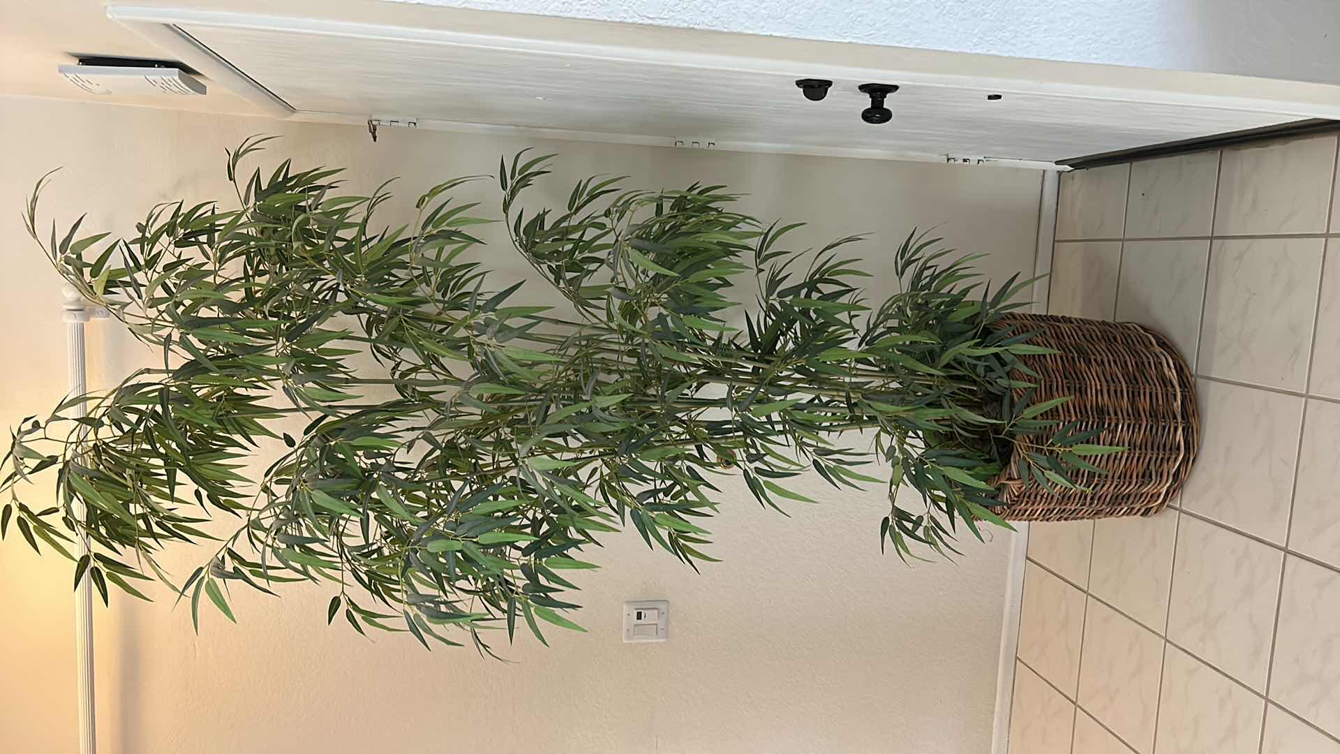 Photo 1 of 9’ FAUX BAMBOO TREE IN WICKER BASKET