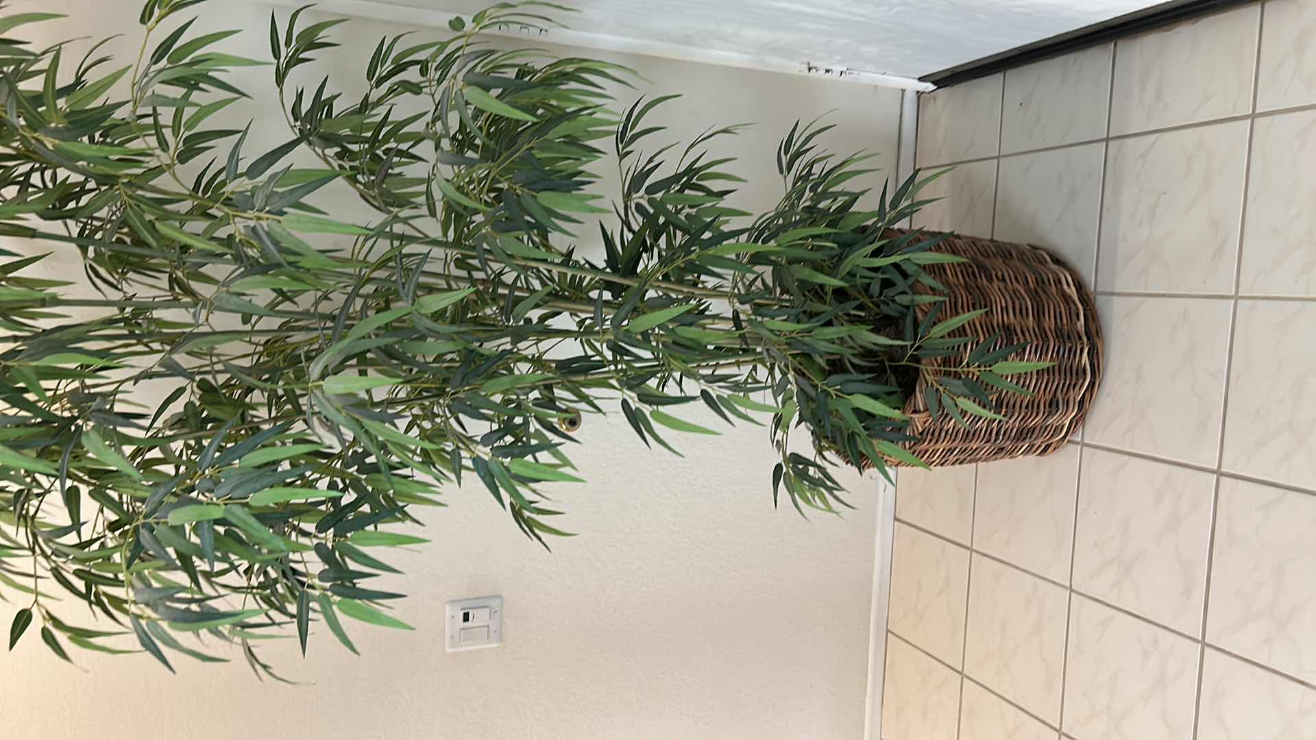 Photo 1 of 9’ FAUX BAMBOO TREE IN WICKER BASKET