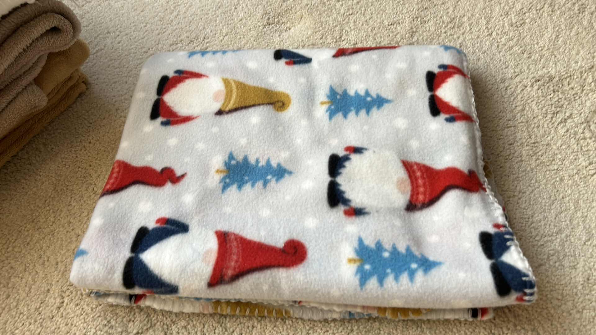 Photo 1 of 5 PIECE THROW BLANKET ASSORTMENT