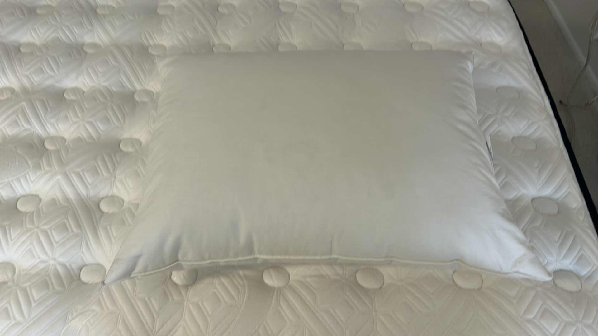 Photo 1 of 2 DUCK FEATHER DOWN PILLOWS - REG SIZE