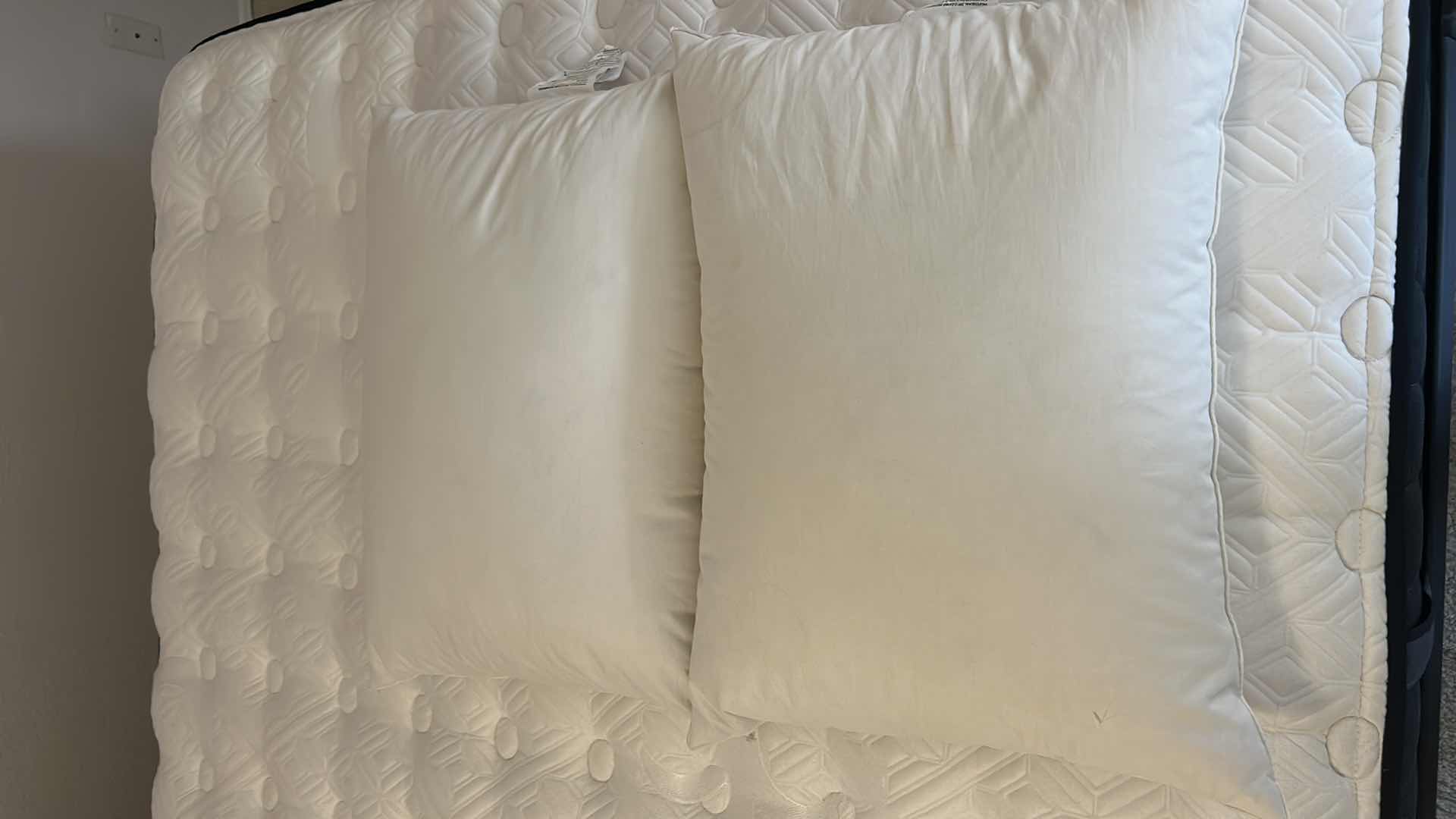 Photo 1 of 2 DUCK FEATHER DOWN PILLOWS - REG SIZE