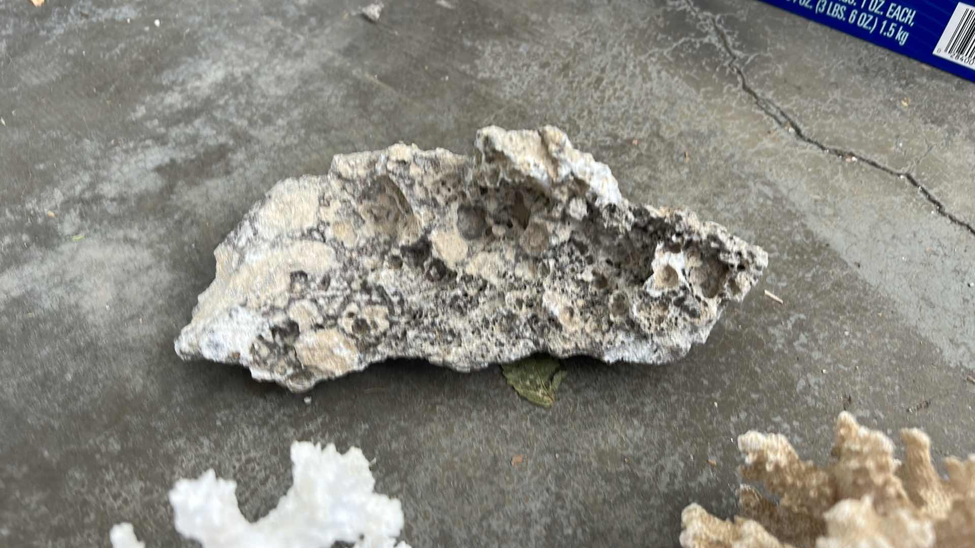 Photo 1 of CORAL COLLECTION