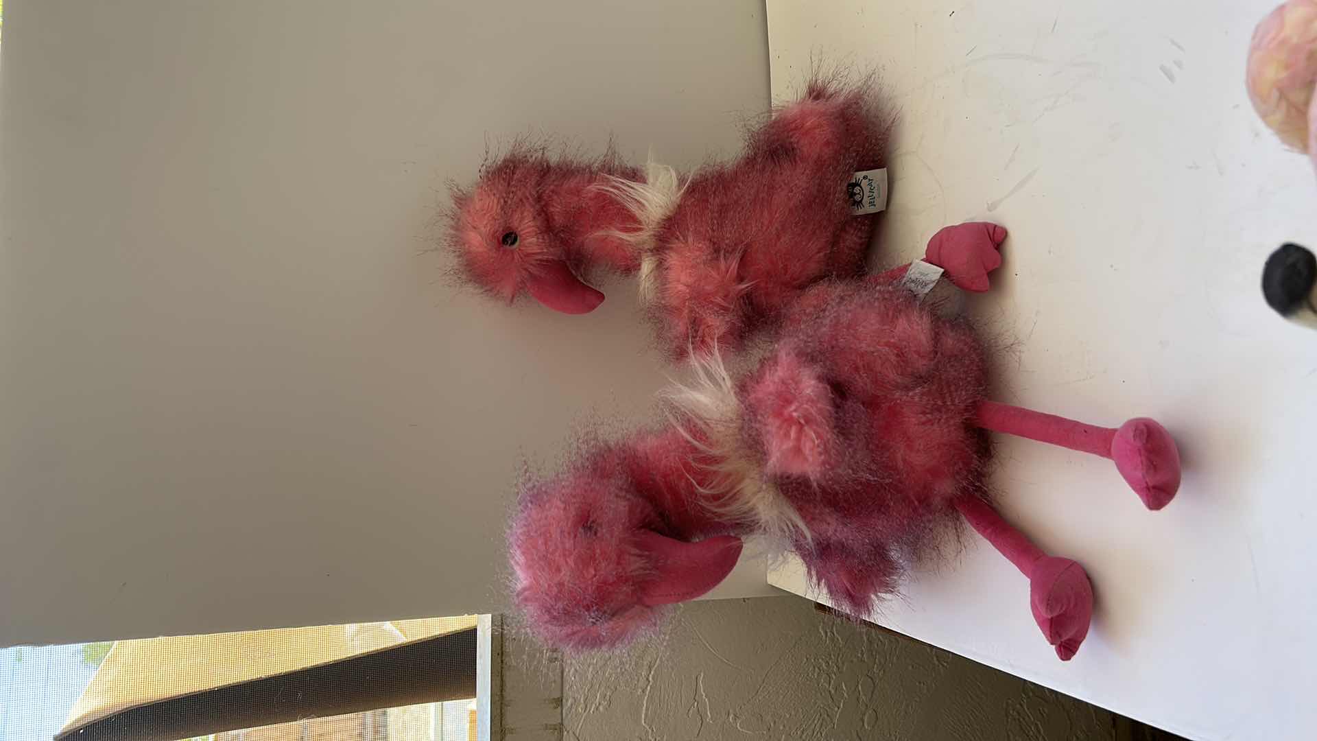 Photo 1 of 4 PEACOCKS