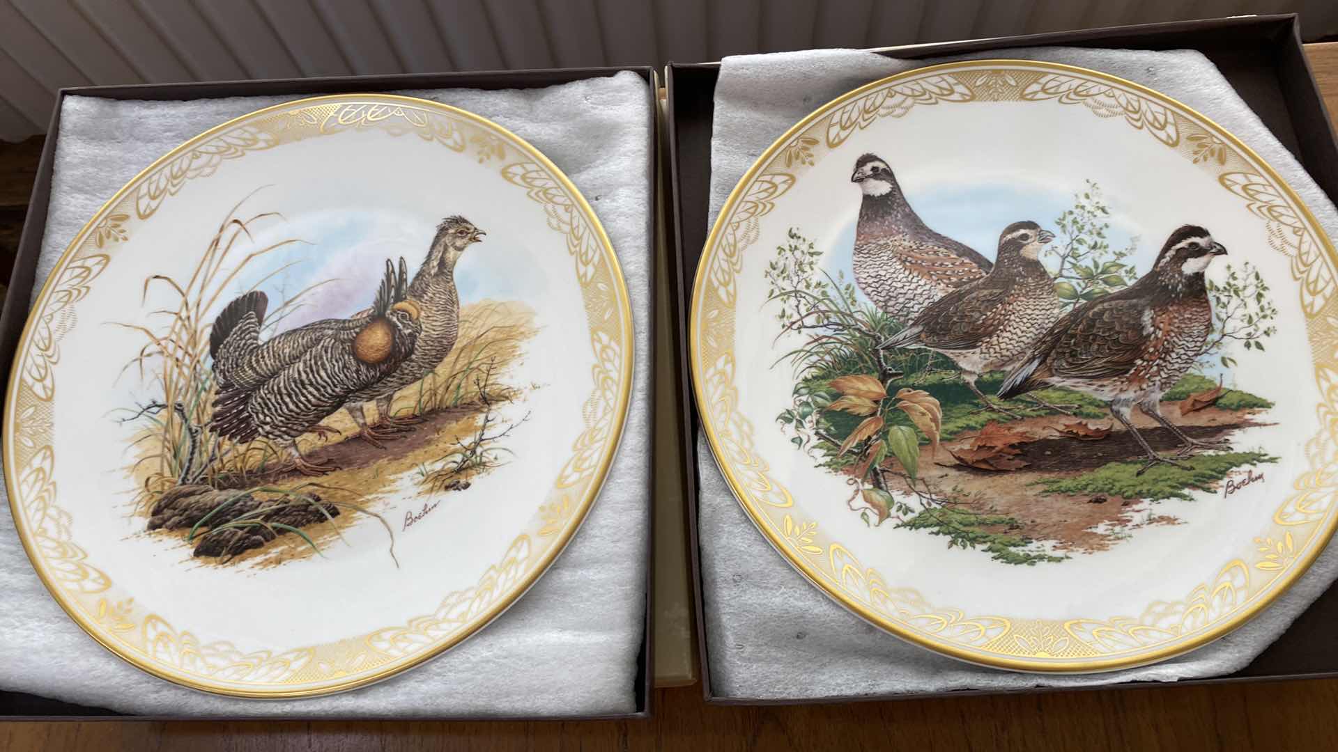 Photo 1 of 8-BOEHM PORCELAIN COLLECTOR PLATES 10.5”