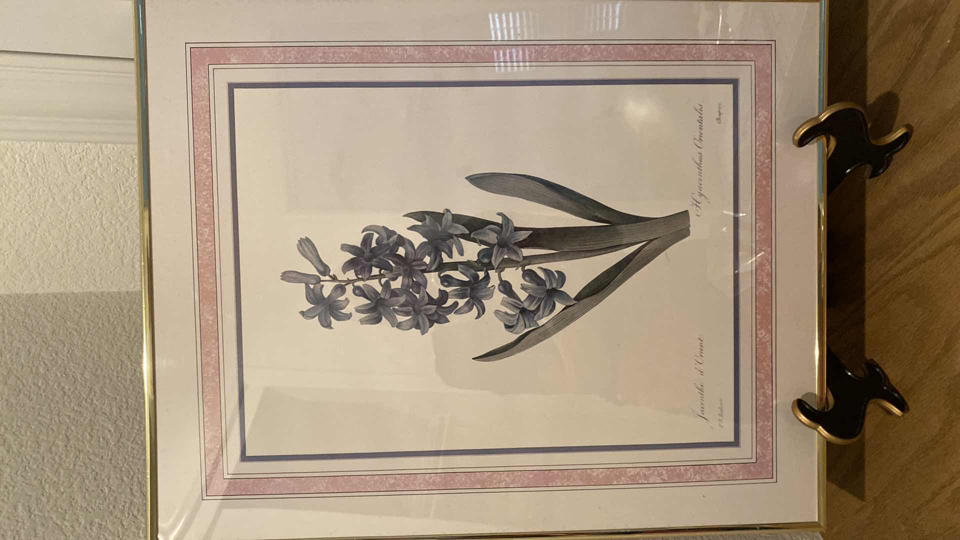 Photo 1 of 3 BOTANICAL FRAMED ART LARGEST 16” X 20” AND GLASS PAPER WEIGHT