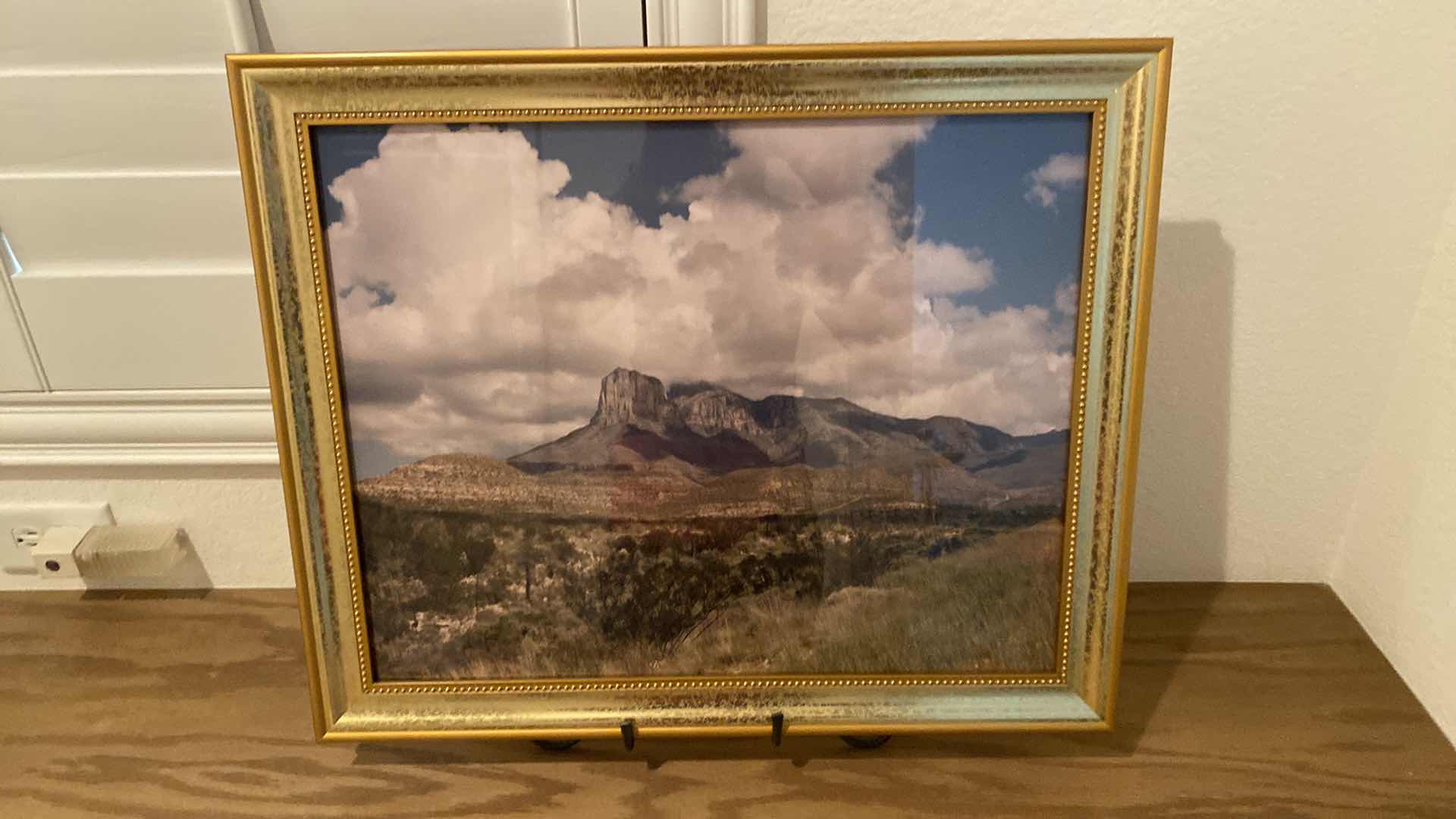 Photo 1 of GOLD FRAMED PHOTO OF DESERT 23” x 19” INCLUDES STAND AND 4 PHOTO FRAMES