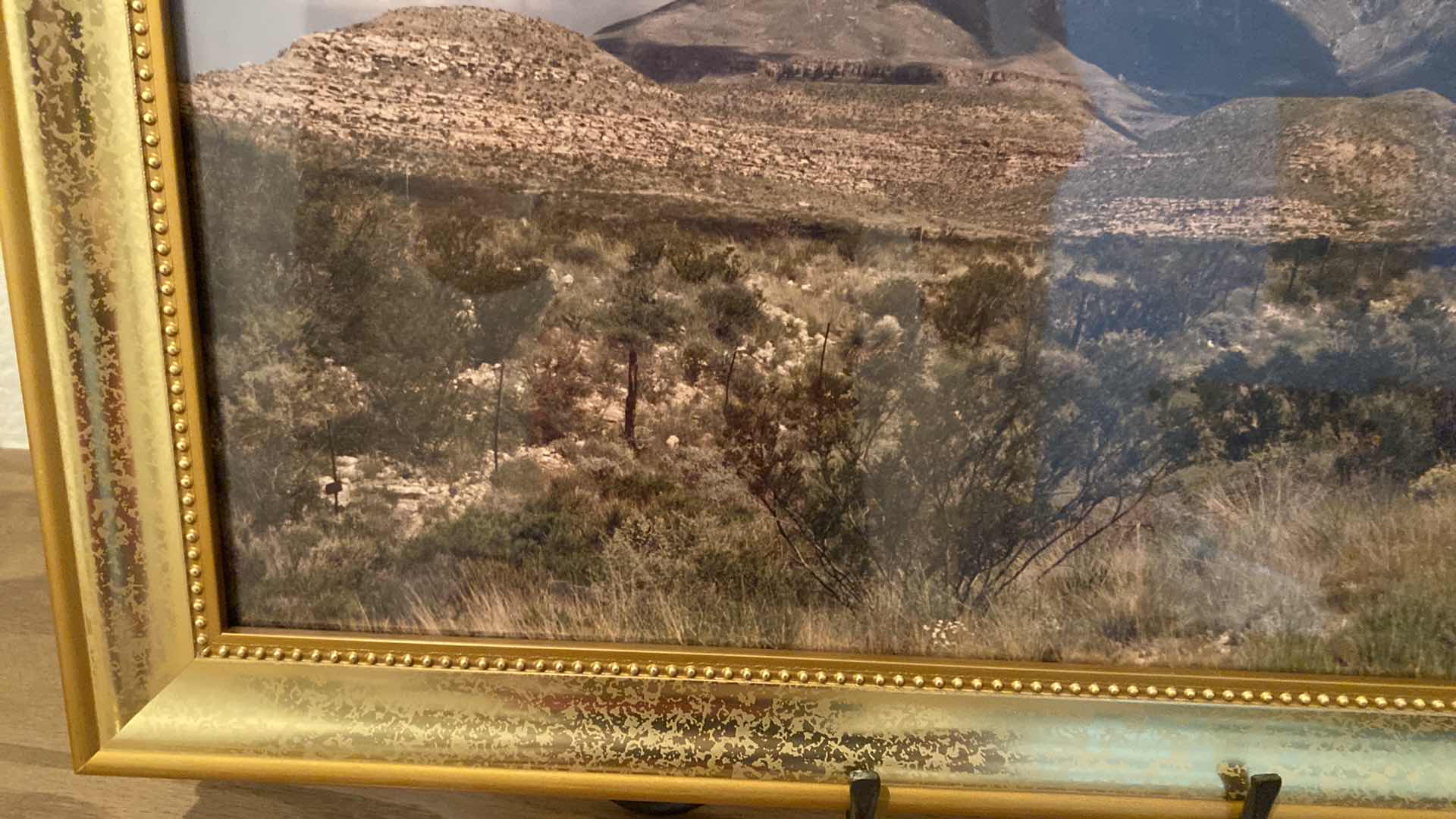 Photo 1 of GOLD FRAMED PHOTO OF DESERT 23” x 19” INCLUDES STAND AND 4 PHOTO FRAMES