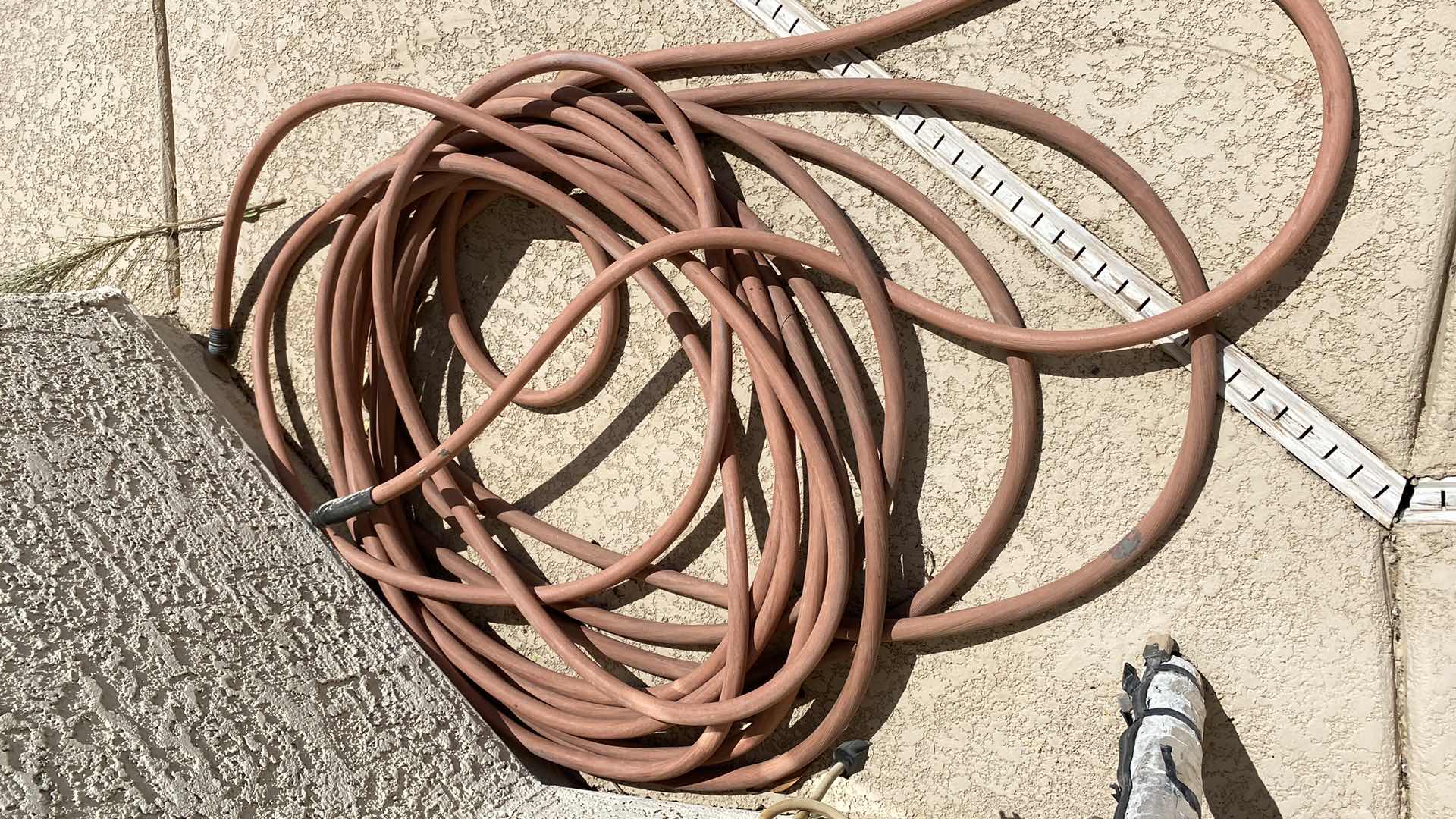 Photo 1 of HOSE IN BACKYARD