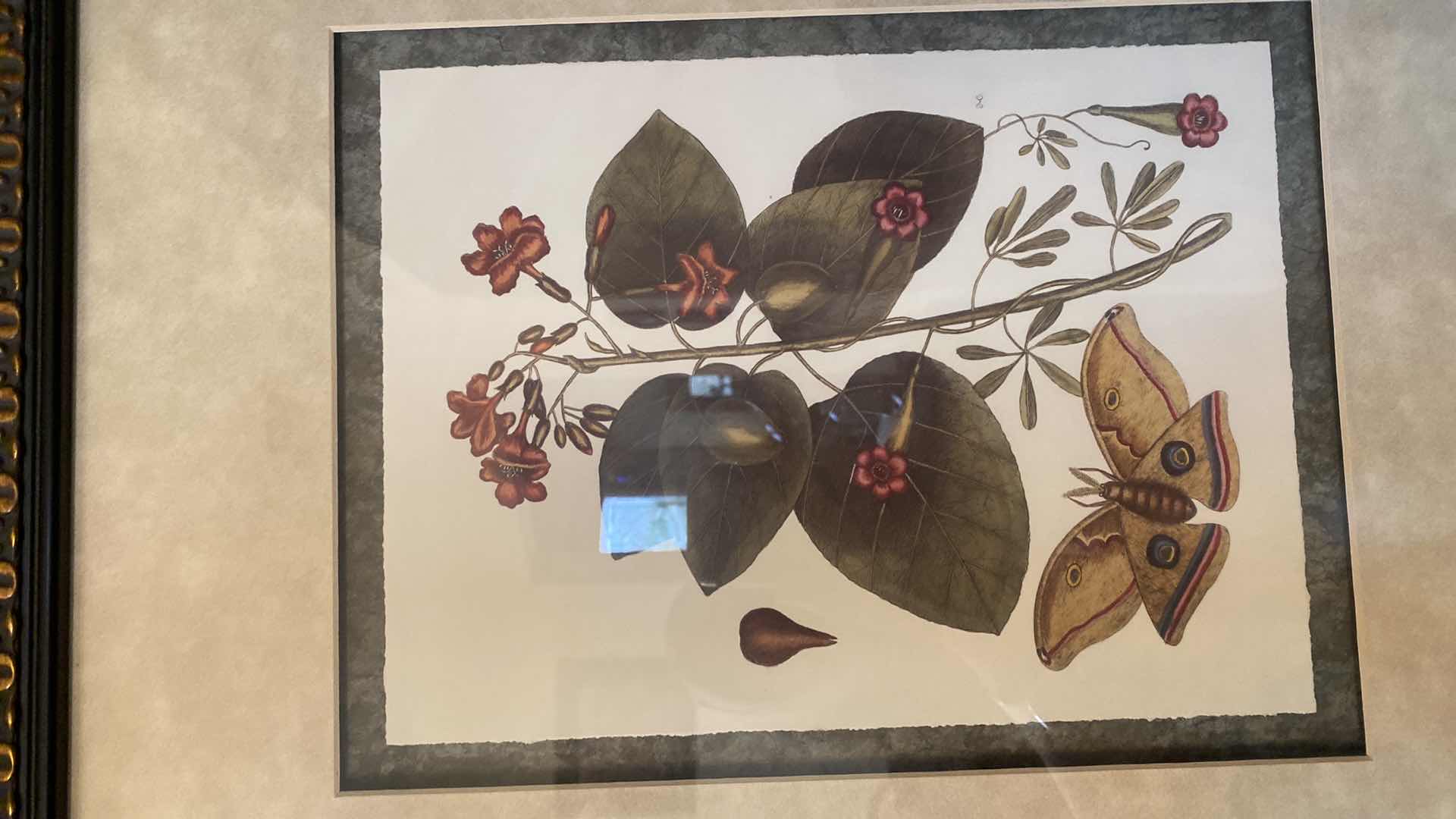 Photo 1 of 2-FRAMED BOTANICAL ARTWORK 22” x 25”