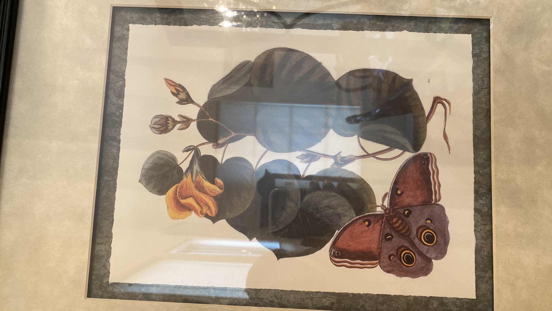 Photo 2 of 2-FRAMED BOTANICAL ARTWORK 22” x 25”