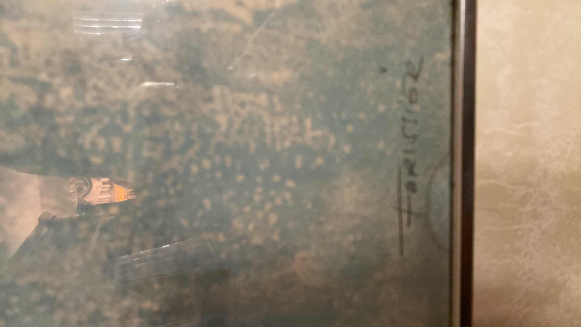 Photo 1 of FRAMED SIGNED FLORAL BY FORISSIER 67/260 ARTWORK 21 1/2” x 27”