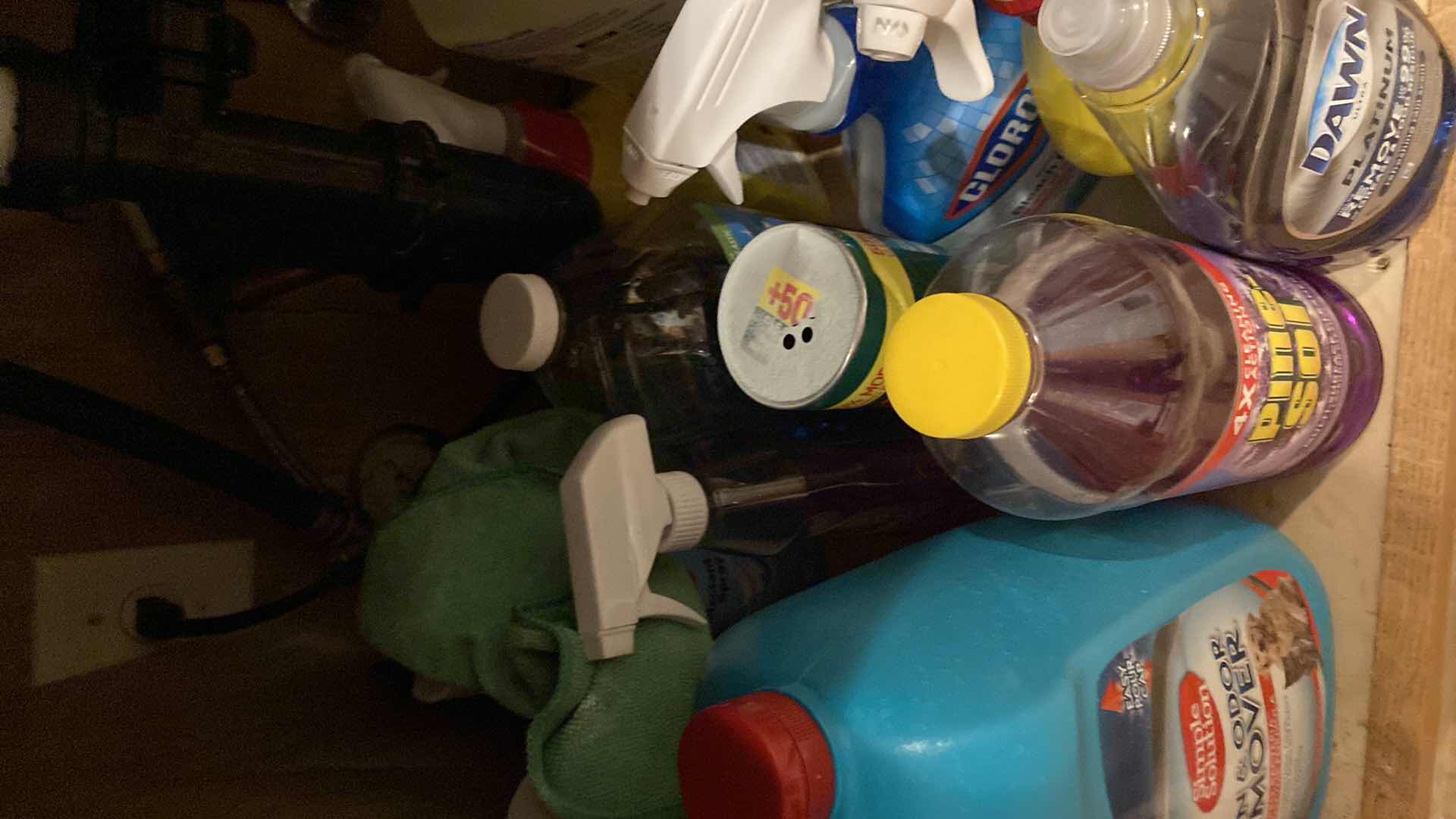 Photo 1 of CONTENTS UNDER KITCHEN SINK