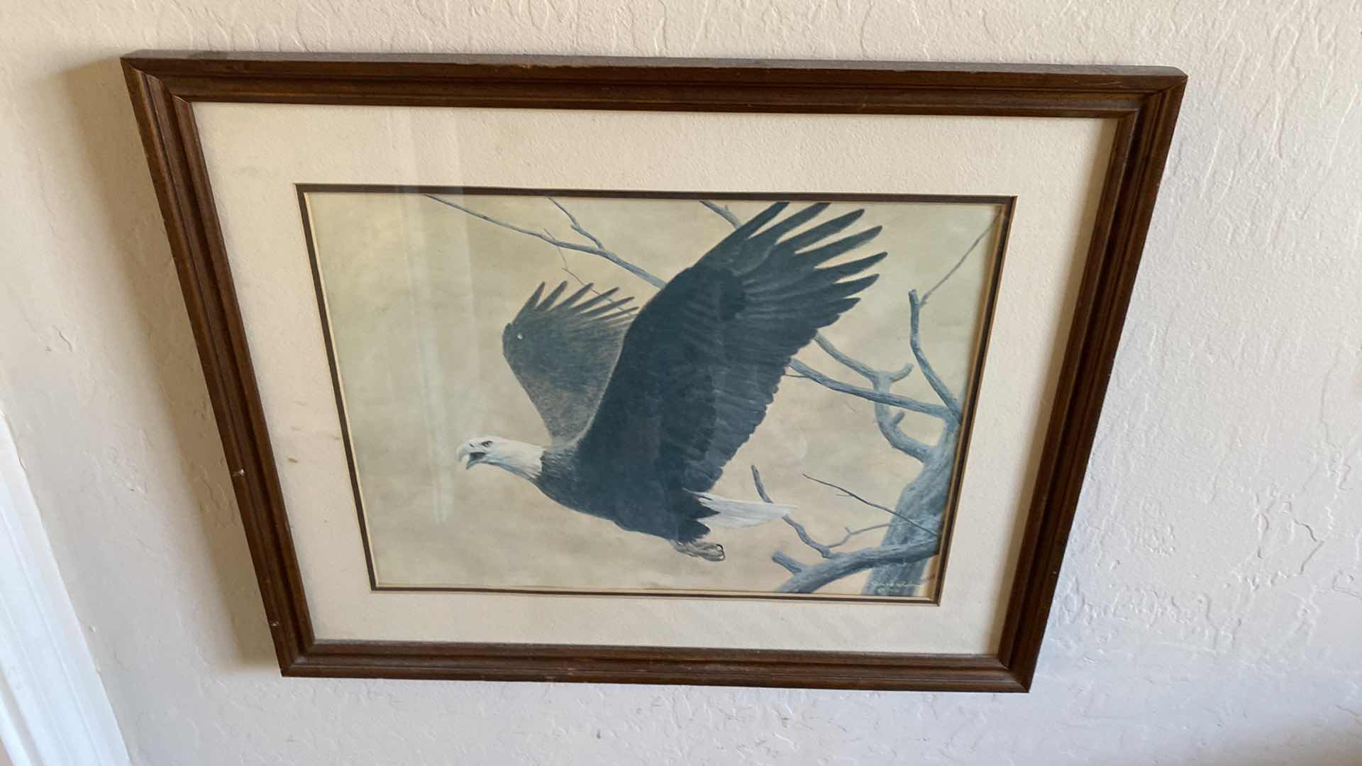 Photo 1 of 5-EAGLE ARTWORK LARGEST 22” x 28”