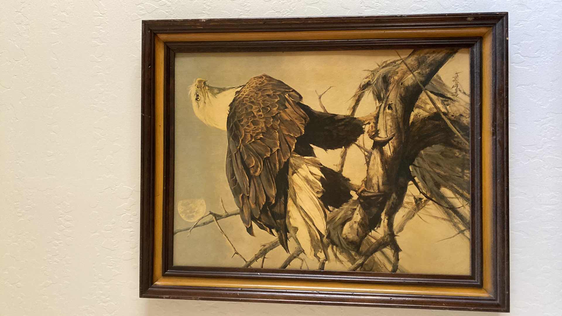 Photo 1 of 5-EAGLE ARTWORK LARGEST 22” x 28”