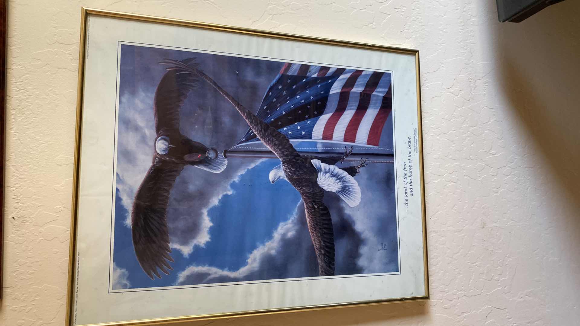 Photo 1 of 5-EAGLE ARTWORK LARGEST 22” x 28”