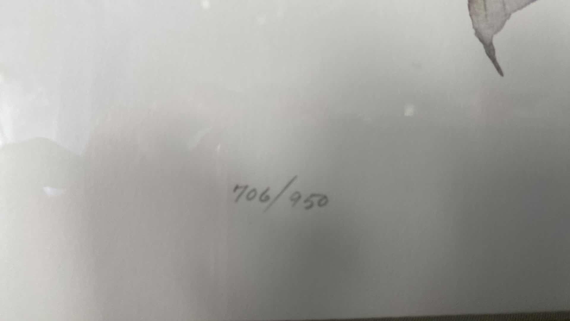 Photo 1 of FRAMED WATERCOLOR FLORAL SIGNED LYN SNOW 706/950 ARTWORK 27 1/2“ x 32 1/2“