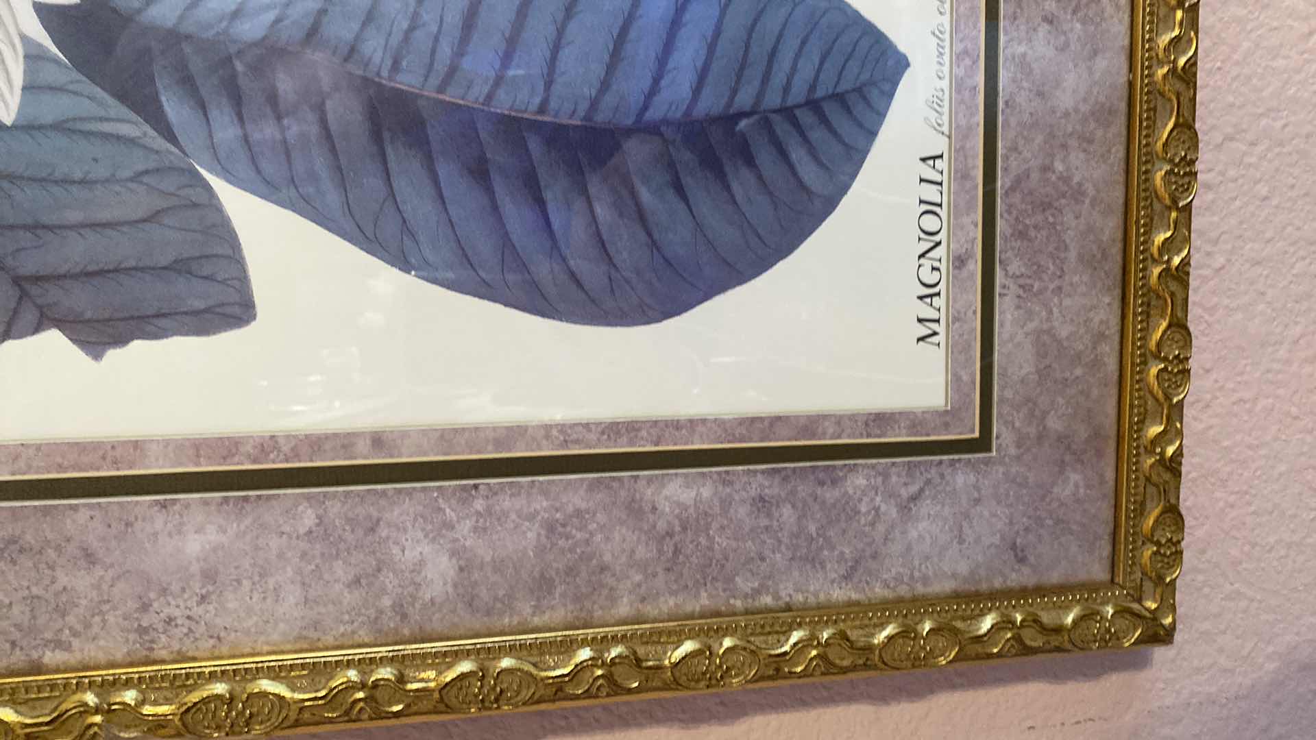 Photo 1 of PAIR OF FRANED MAGNOLIA PRINTS ARTWORK 24“ x 30“