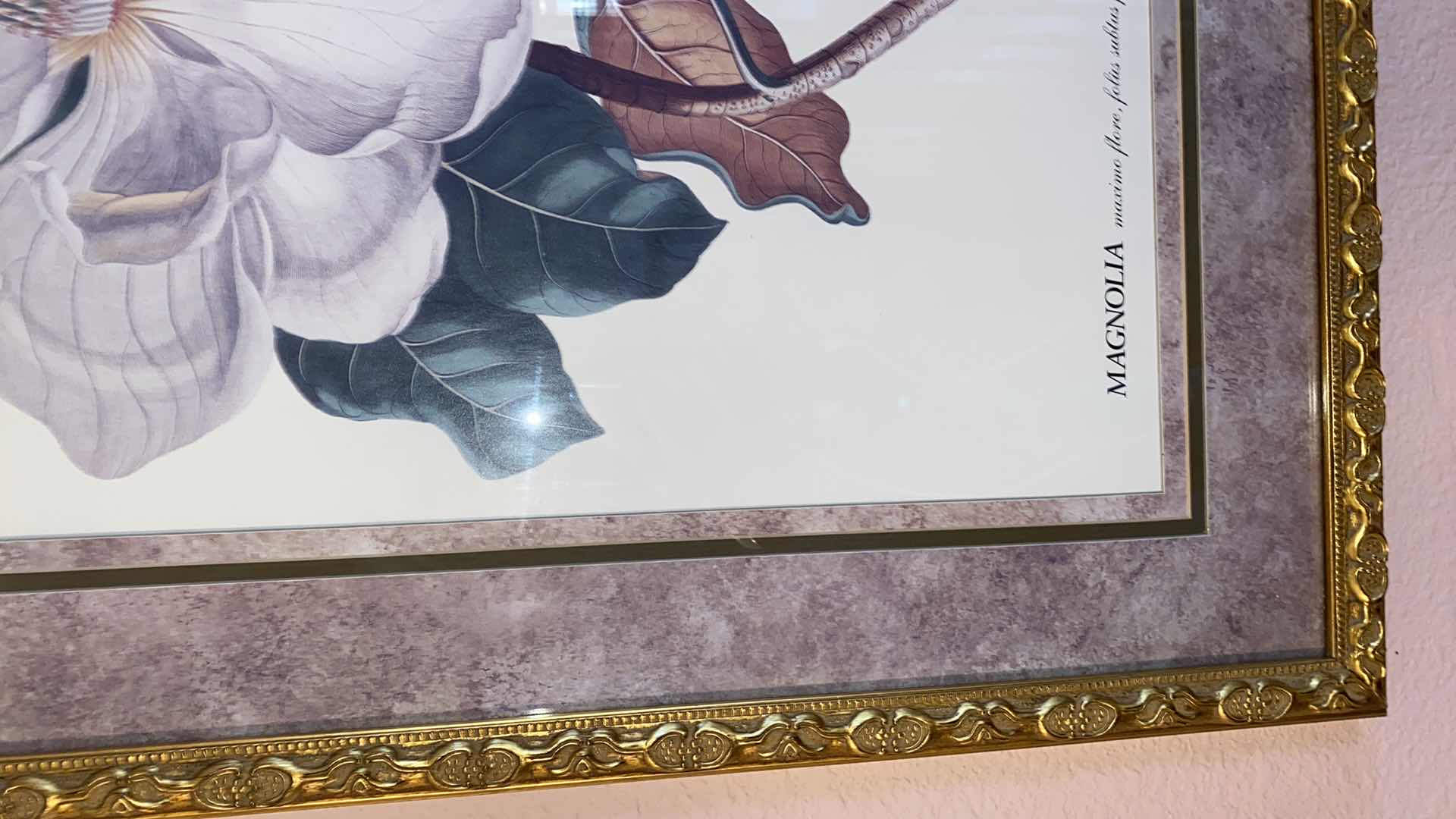 Photo 1 of PAIR OF FRANED MAGNOLIA PRINTS ARTWORK 24“ x 30“