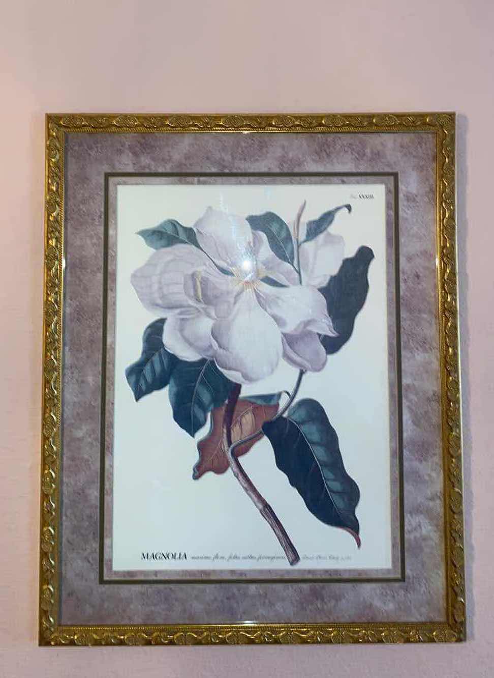 Photo 1 of PAIR OF FRANED MAGNOLIA PRINTS ARTWORK 24“ x 30“